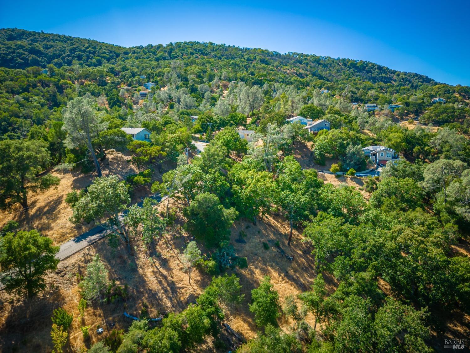 Zinnia Ln #73