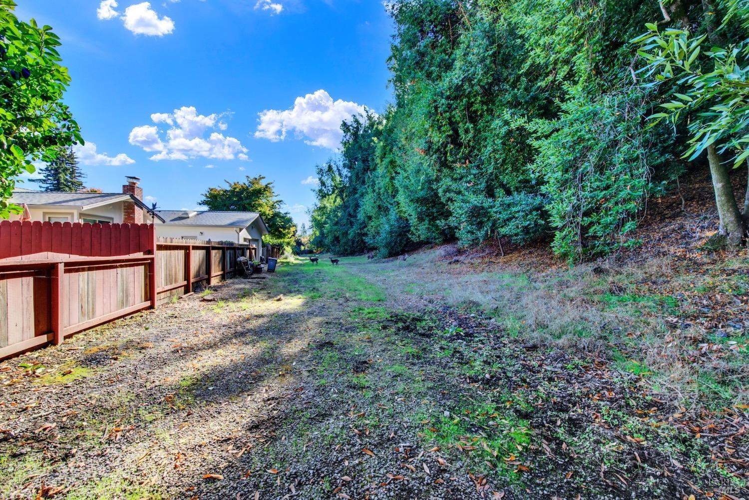 2573 Rollingwood Dr