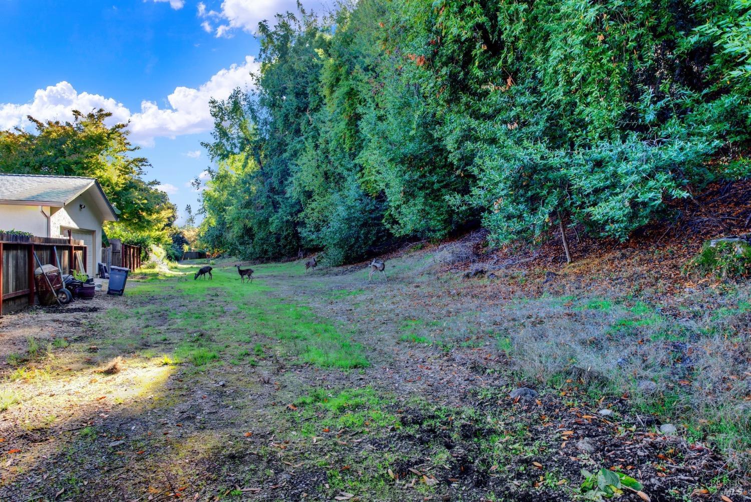 2573 Rollingwood Dr