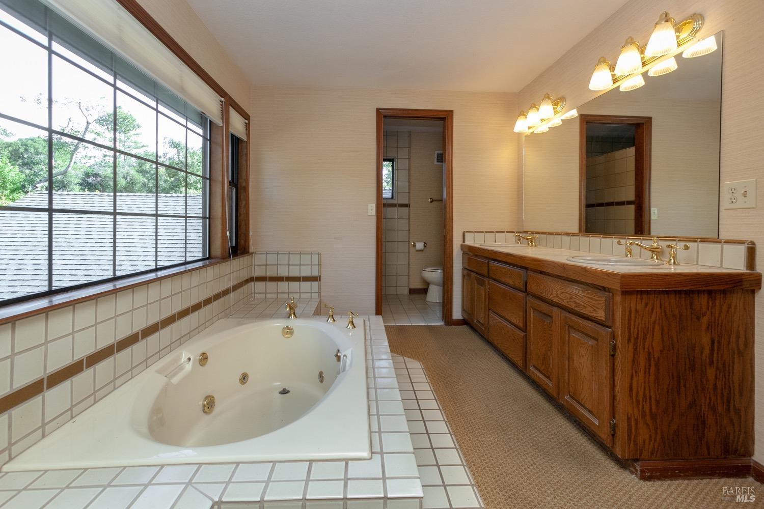 3821 Moss Hollow Ct