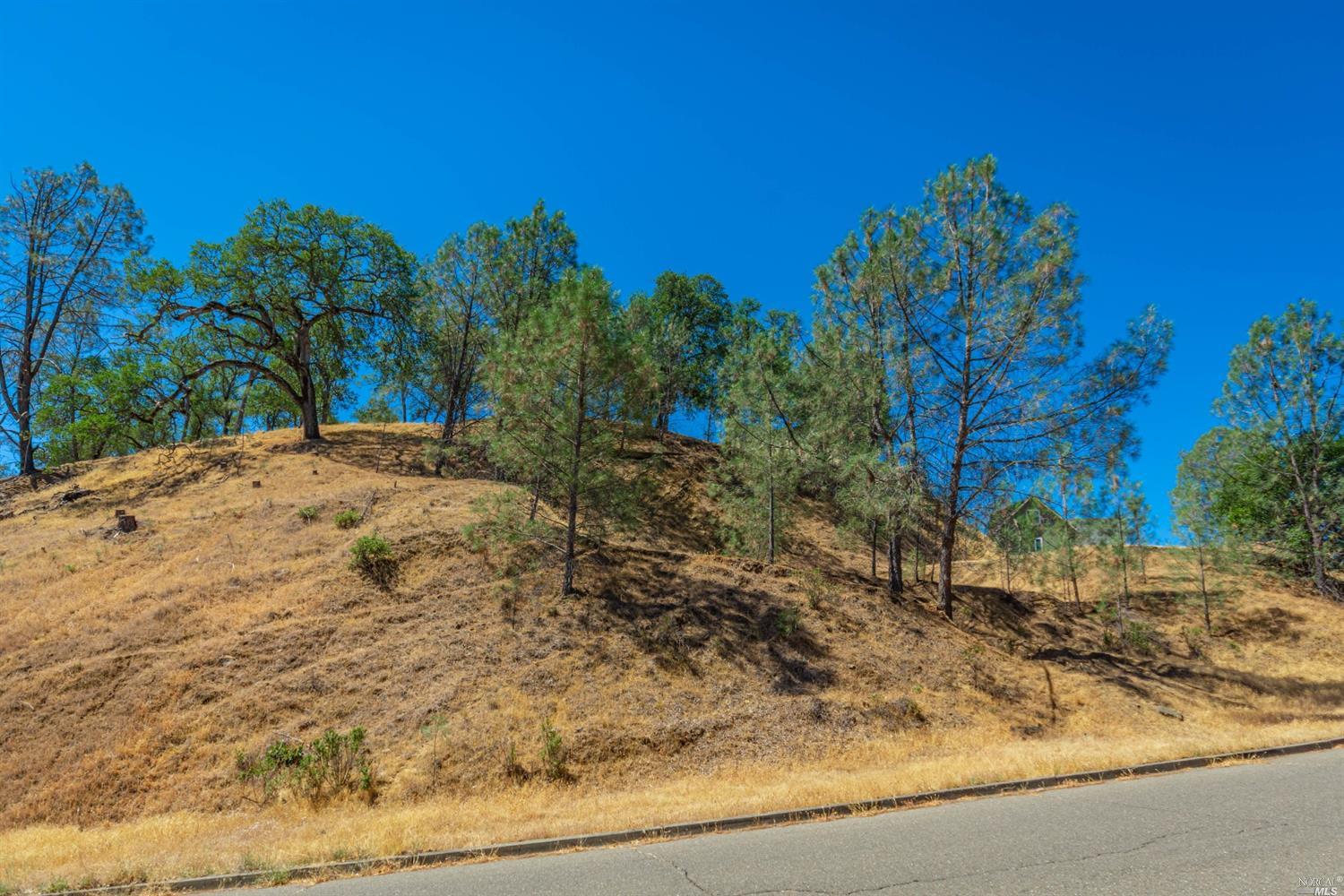 1268 Steele Canyon Rd