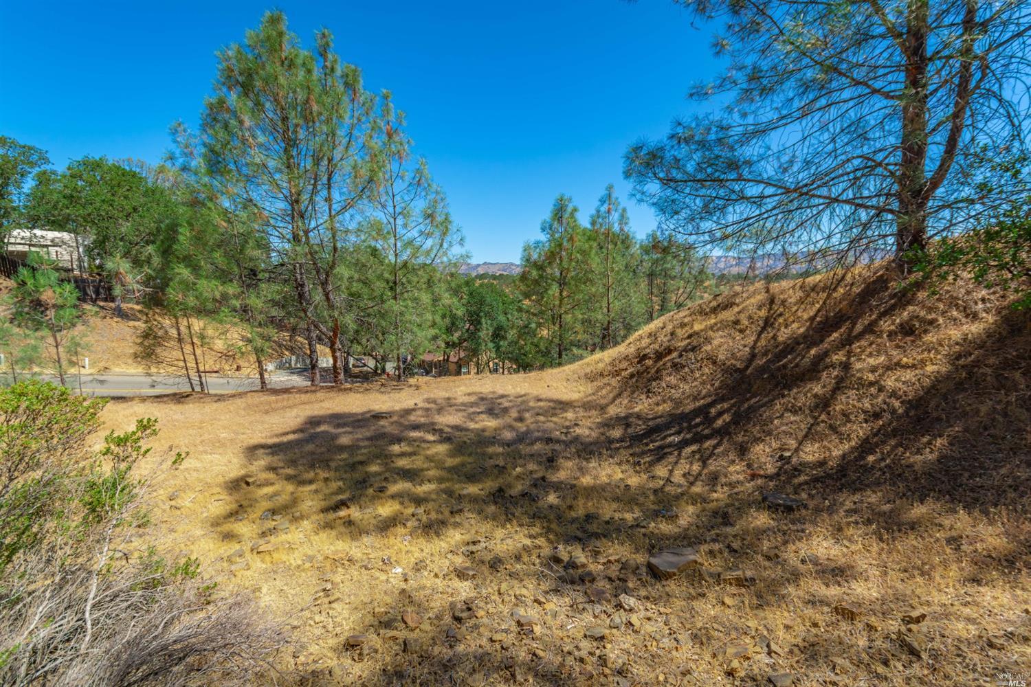 1268 Steele Canyon Rd
