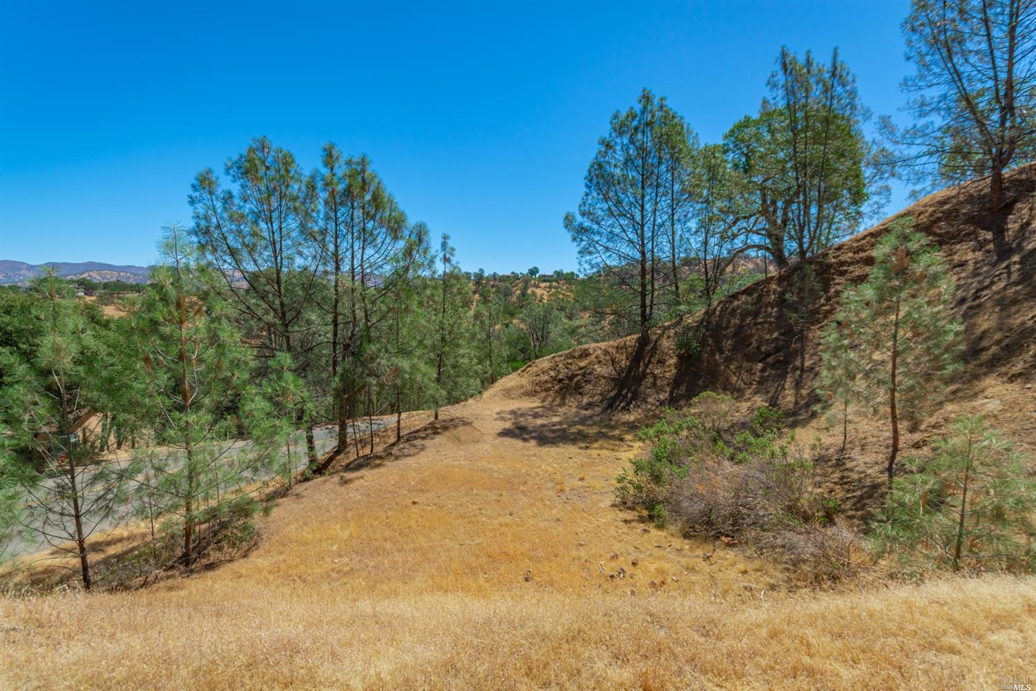 1268 Steele Canyon Rd