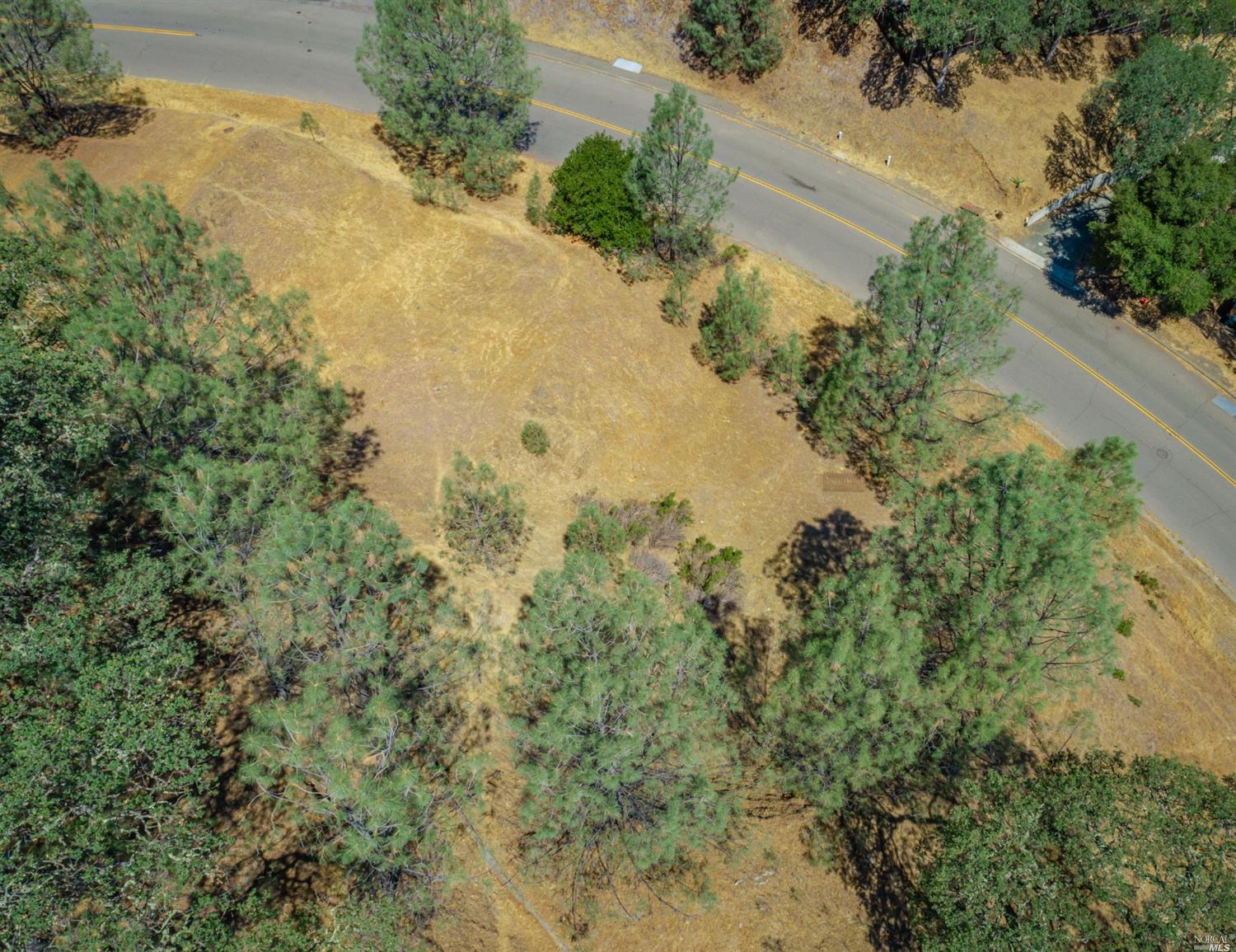 1268 Steele Canyon Rd