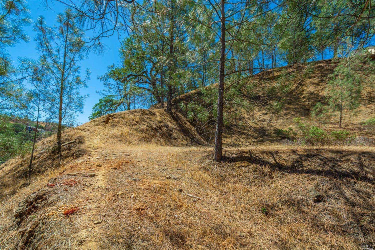 1268 Steele Canyon Rd