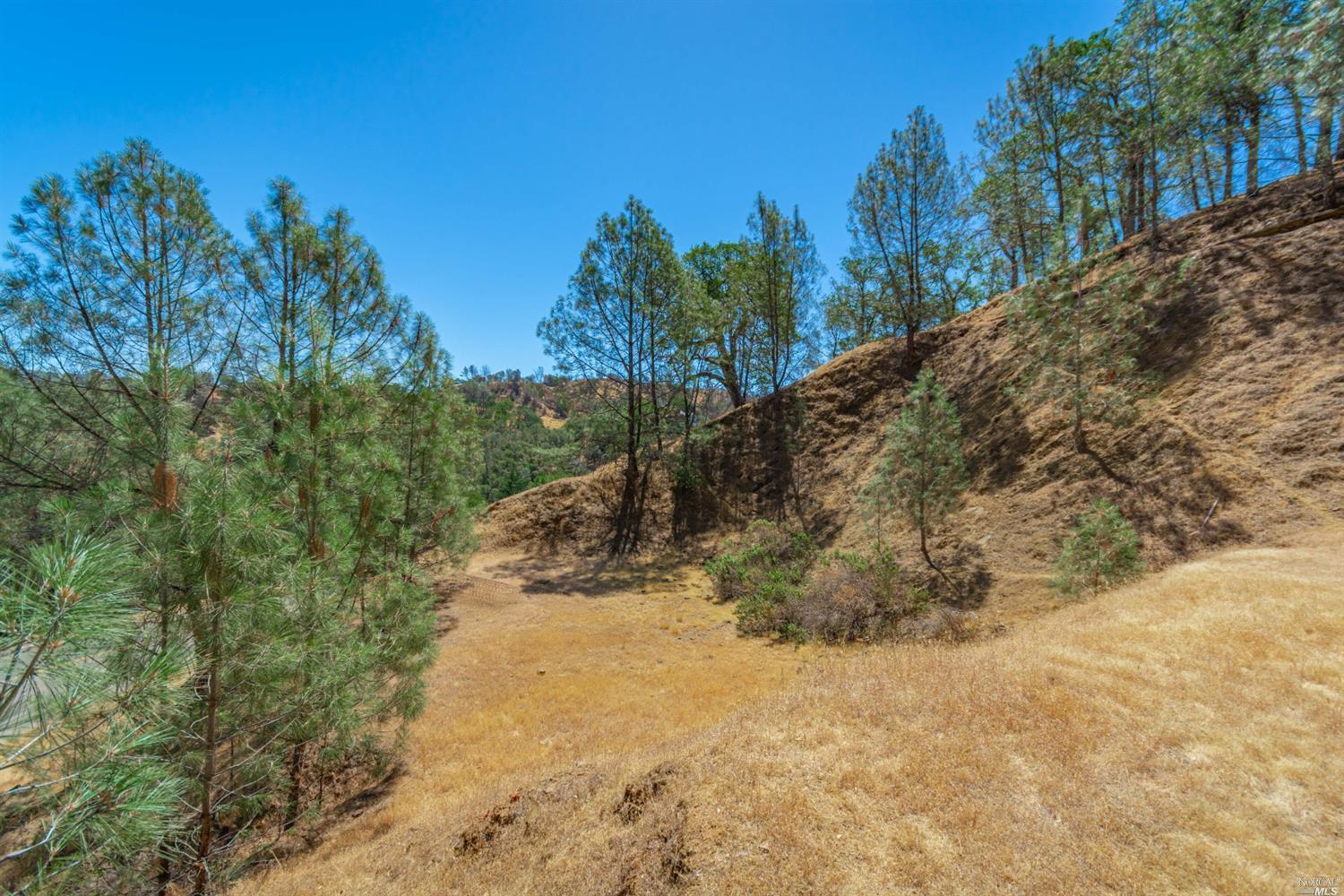 1268 Steele Canyon Rd