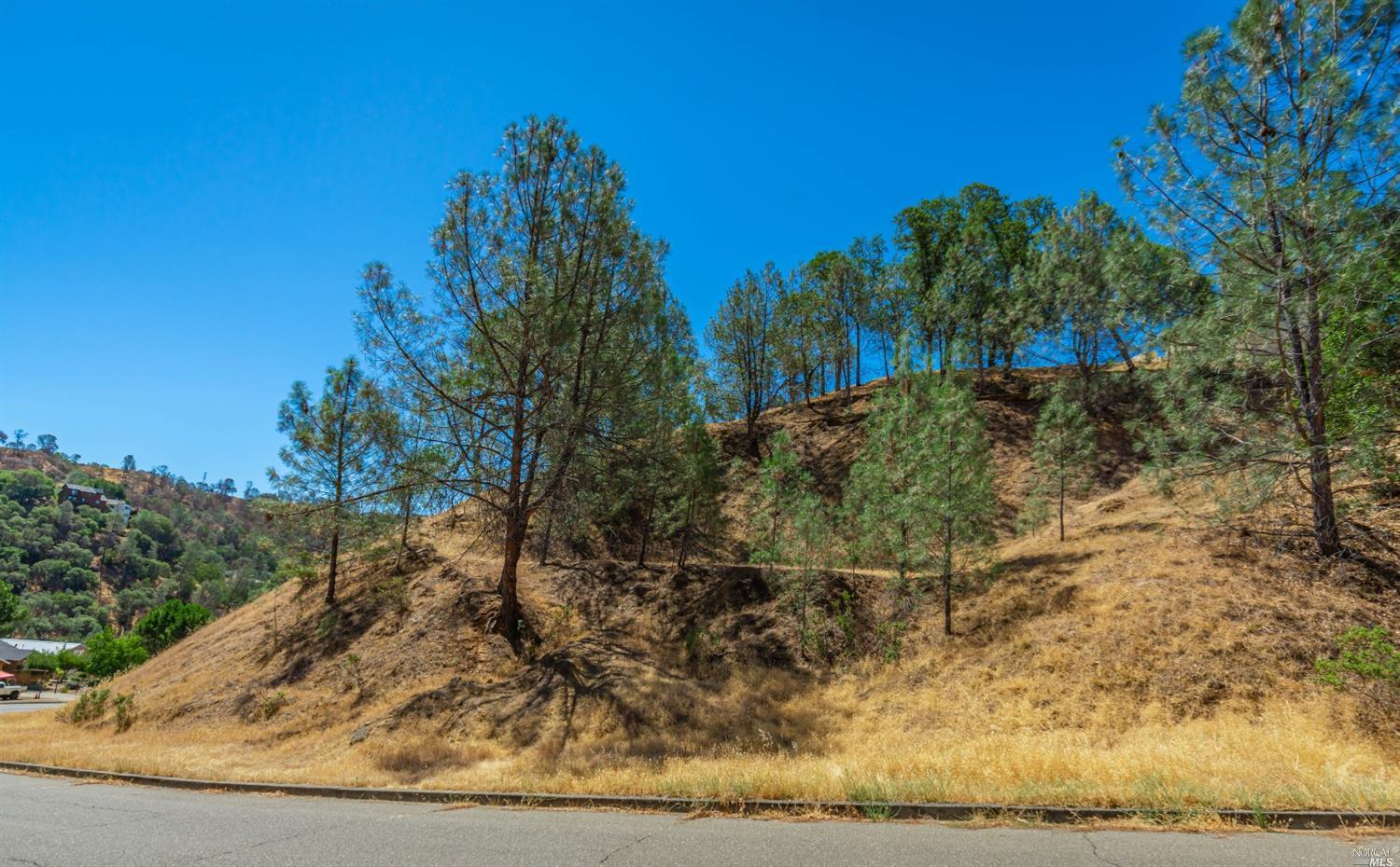 1268 Steele Canyon Rd