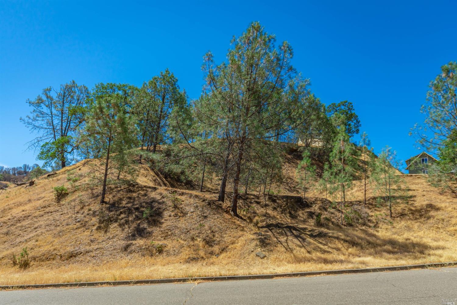 1268 Steele Canyon Rd