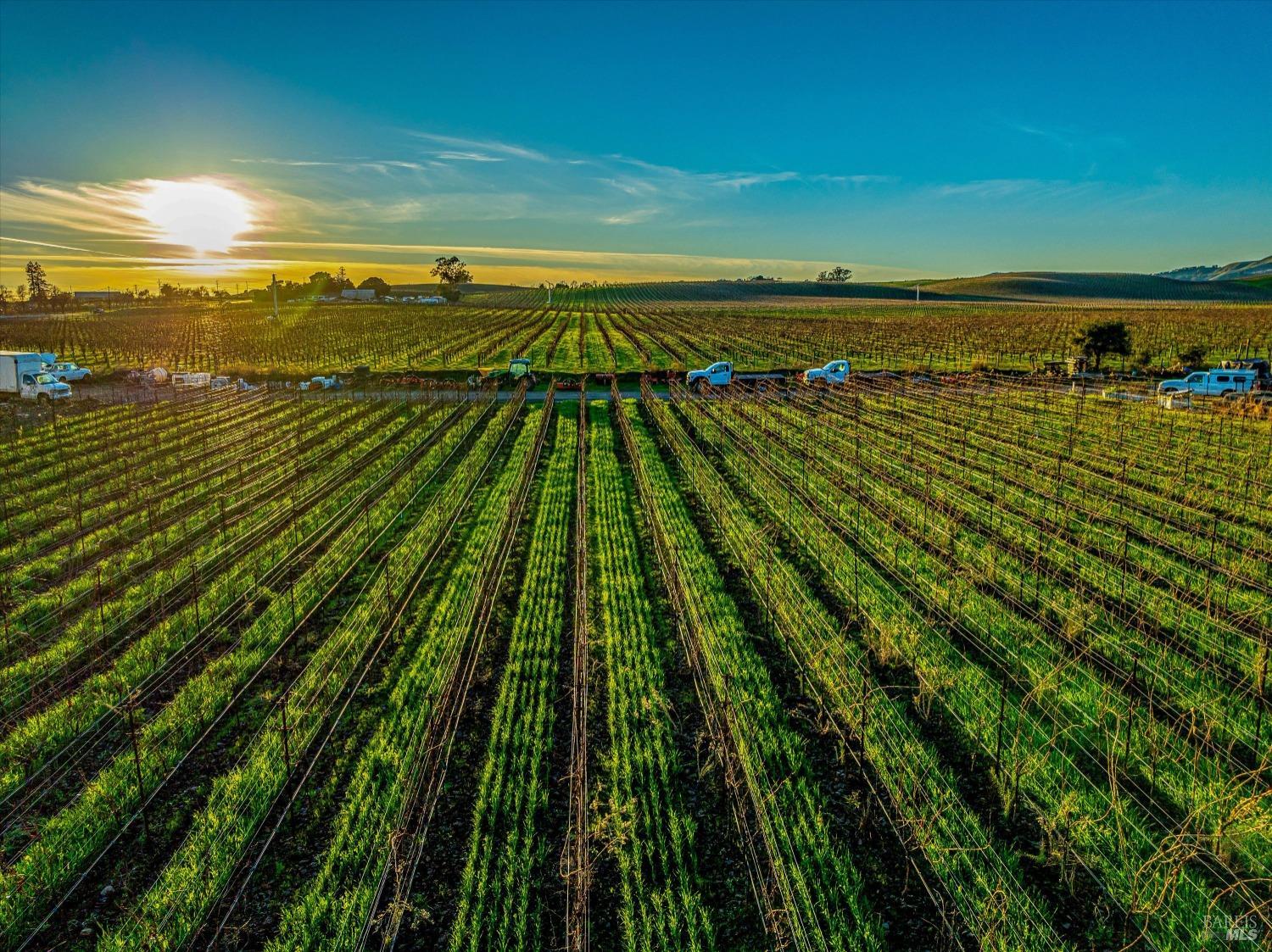 3316 Sonoma Hwy