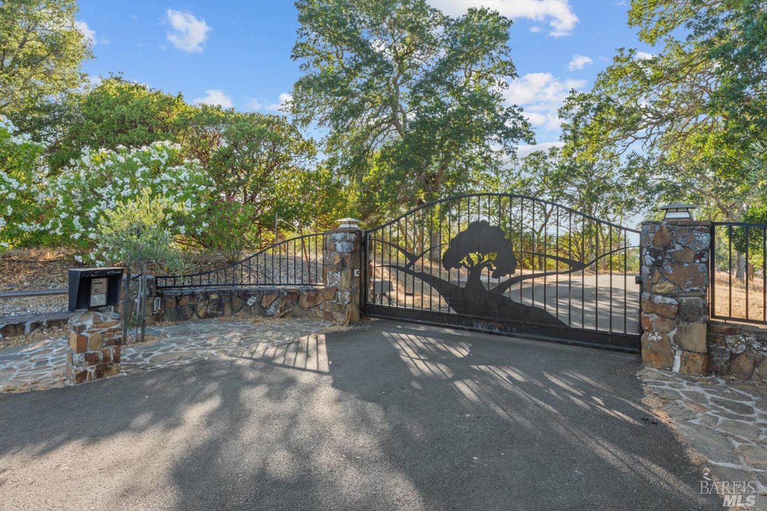 1071 Steele Canyon Rd