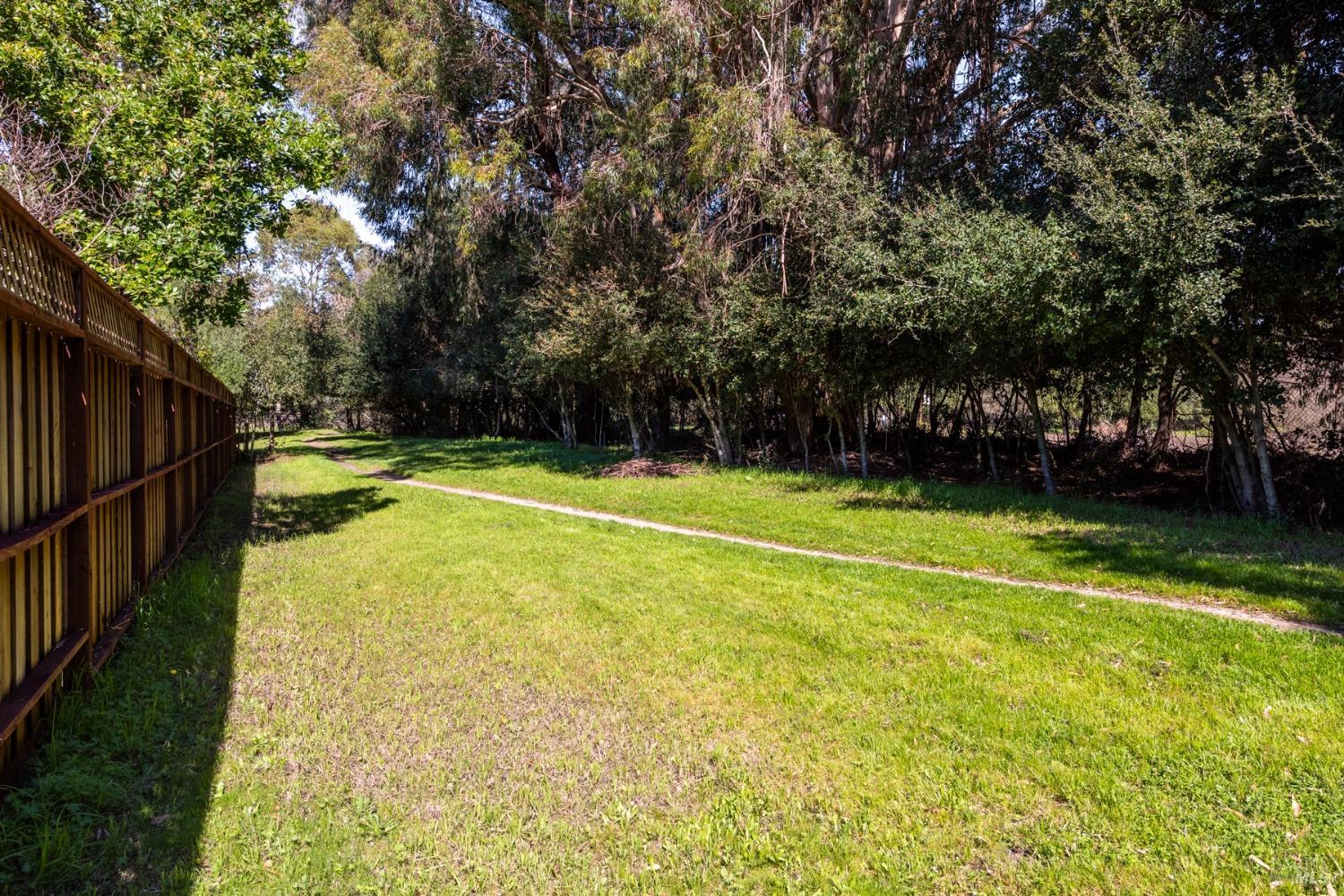 734 Placer Ct