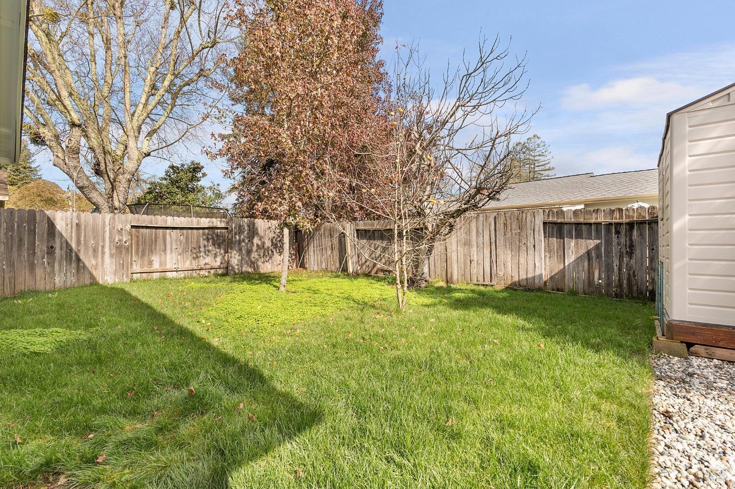 2420 Tamarisk Dr