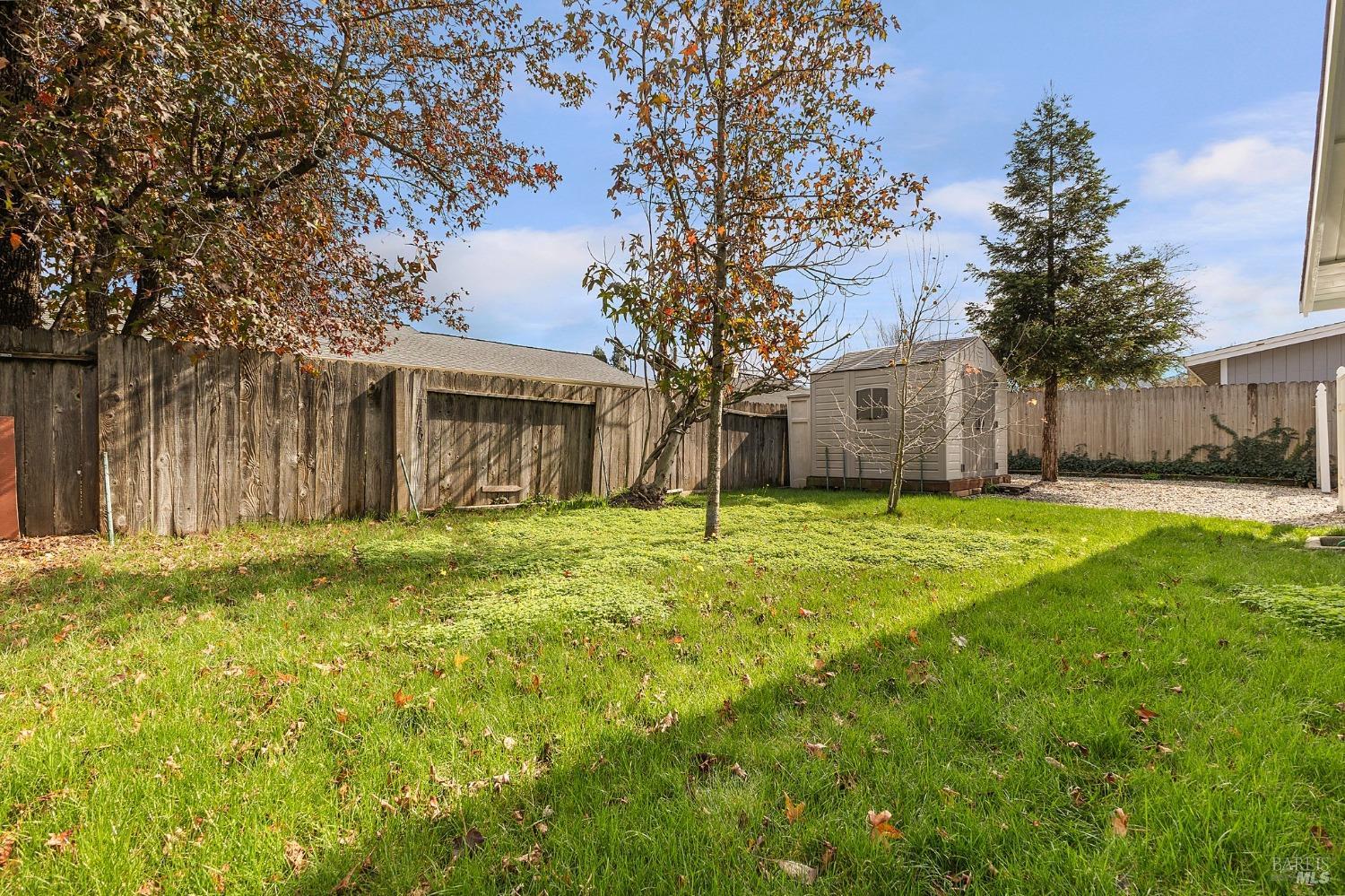 2420 Tamarisk Dr