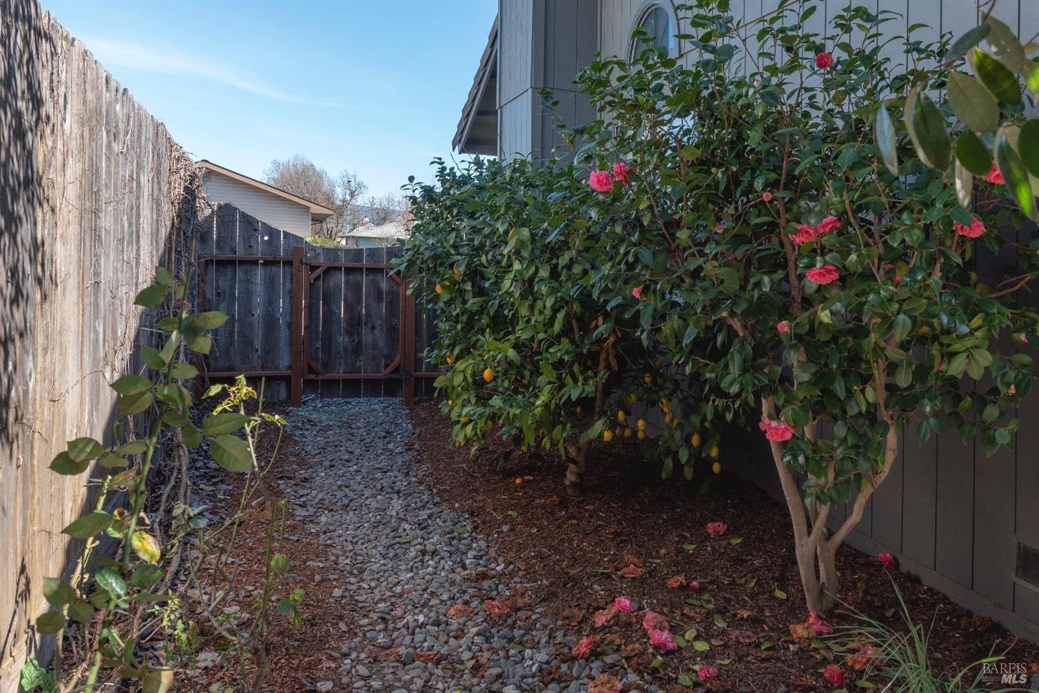 2424 Trower Ct