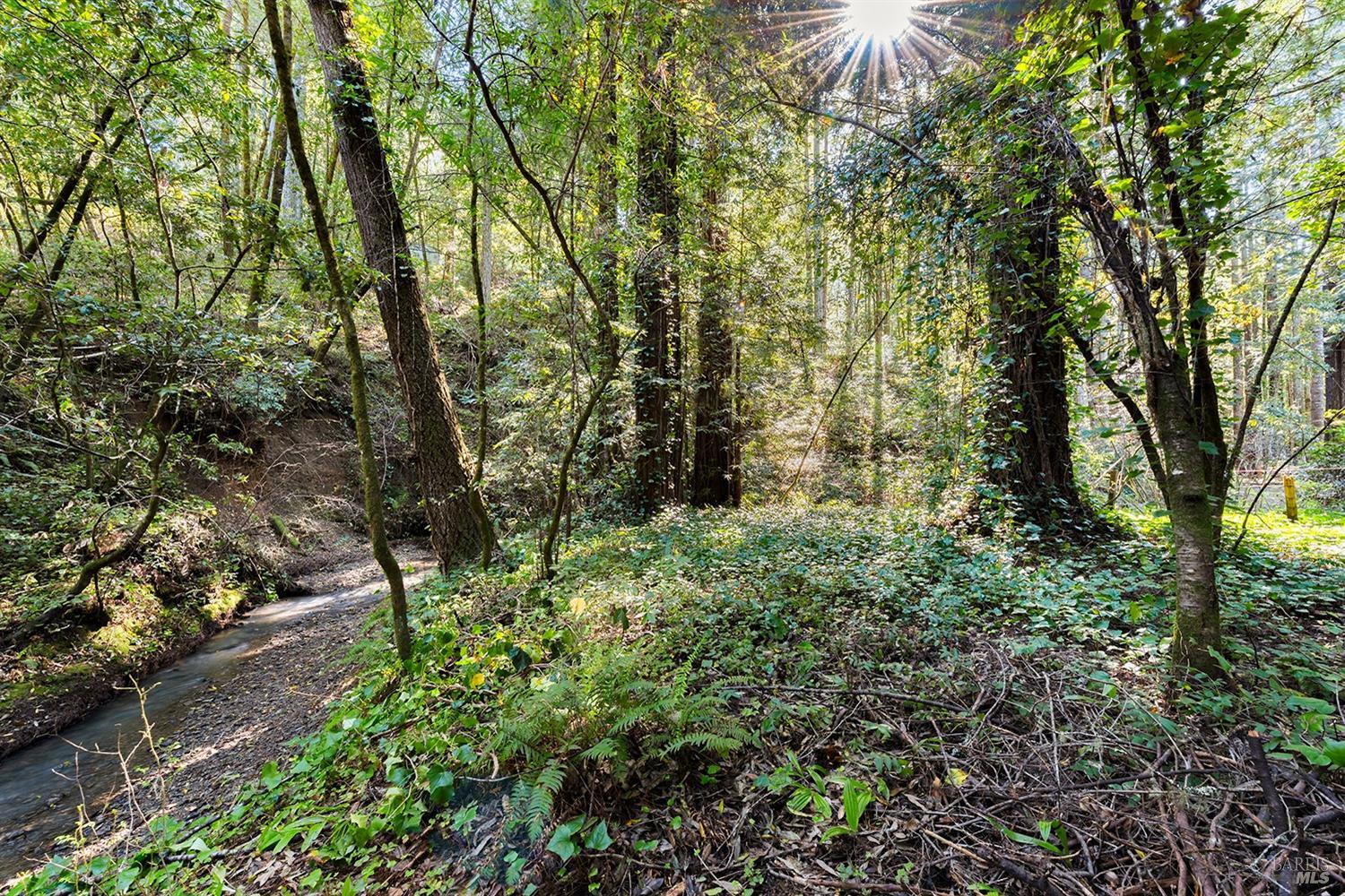 12885-9793 Graton Rd