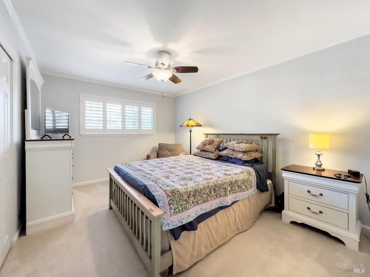 15 Harding Dr