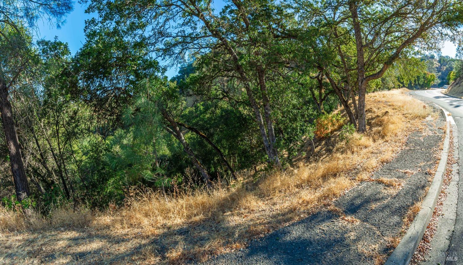 1187 Steele Canyon Rd