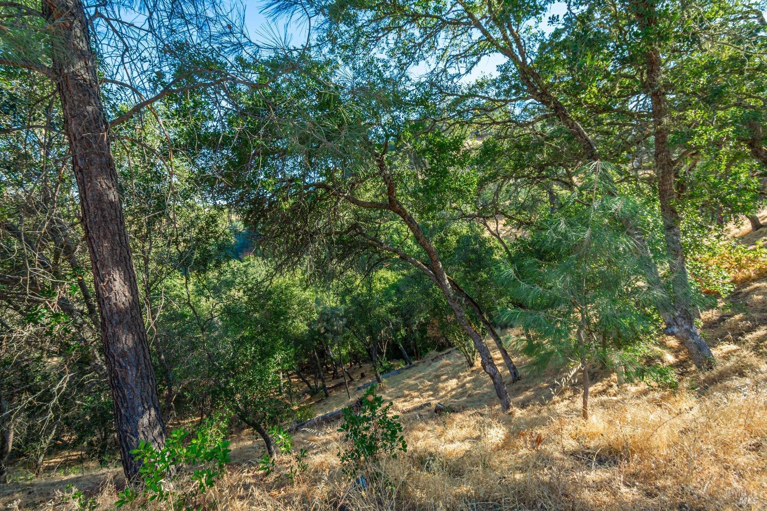 1187 Steele Canyon Rd