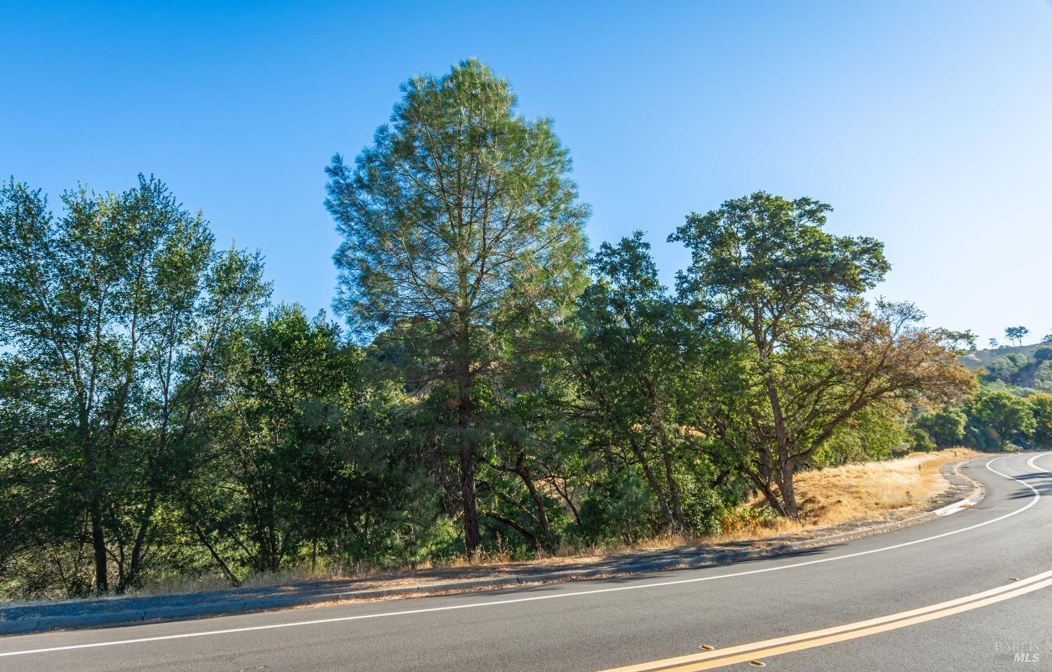 1187 Steele Canyon Rd