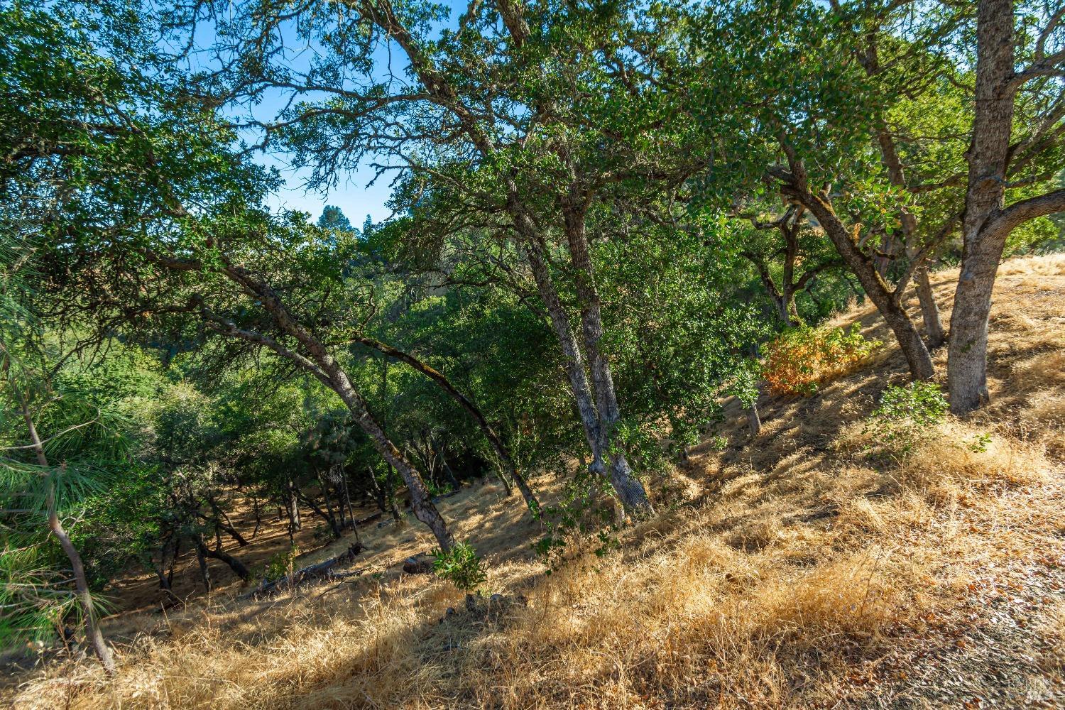 1187 Steele Canyon Rd