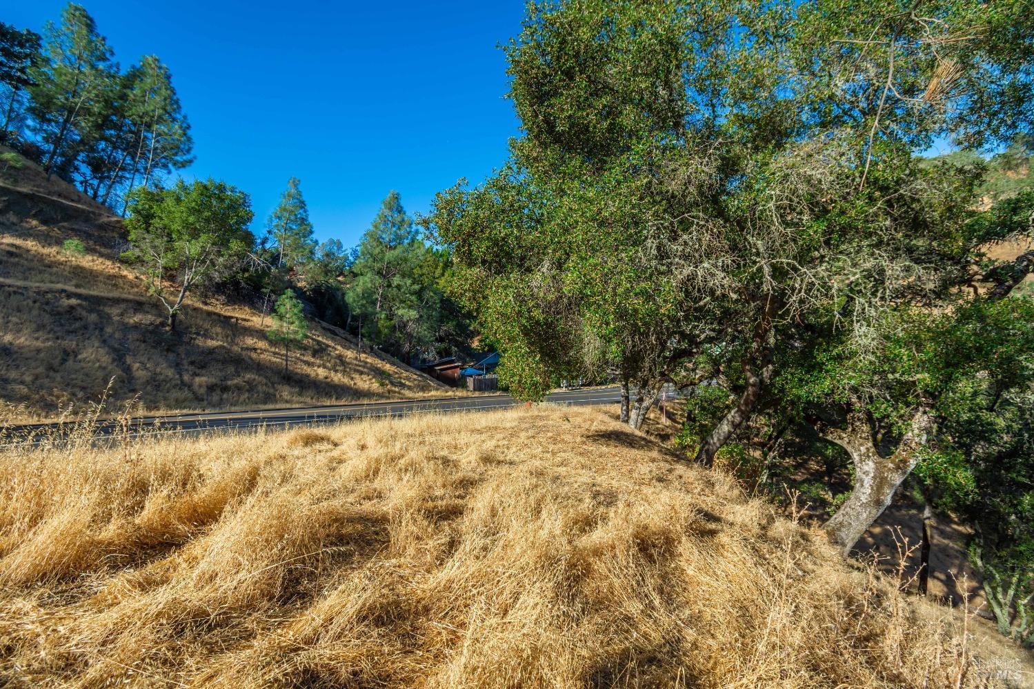 1187 Steele Canyon Rd