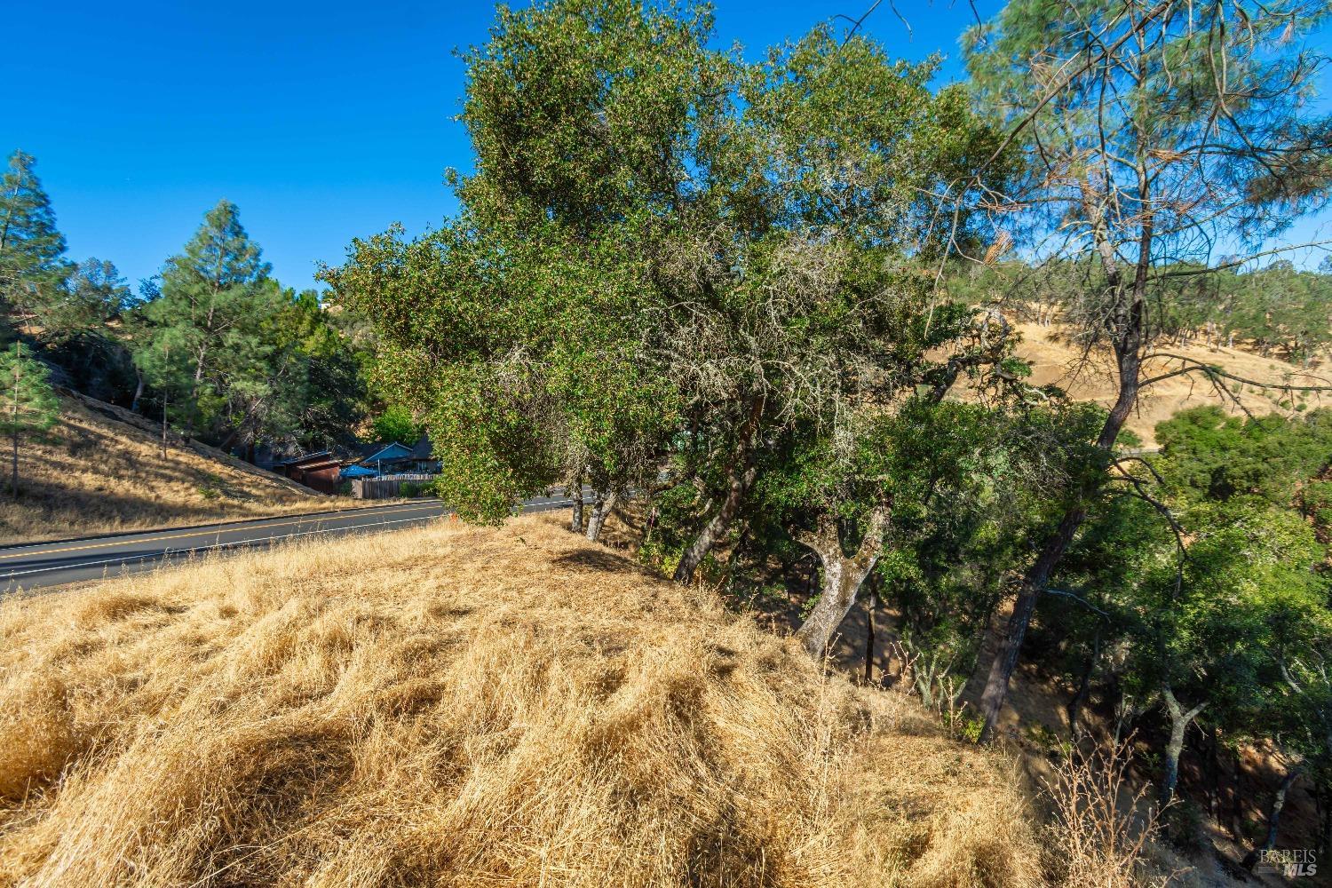 1187 Steele Canyon Rd