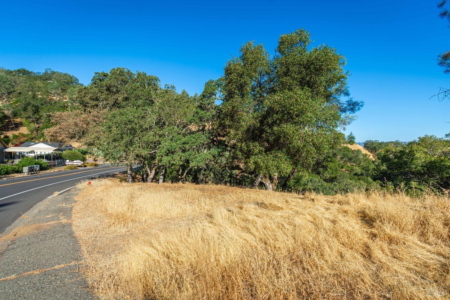 1187 Steele Canyon Rd