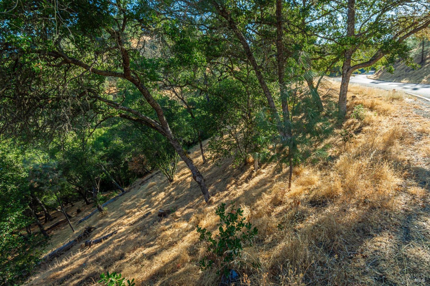 1187 Steele Canyon Rd