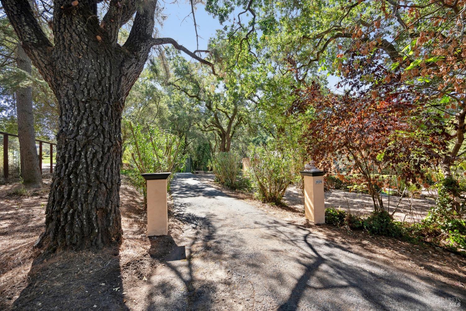 2035 Thornsberry Road