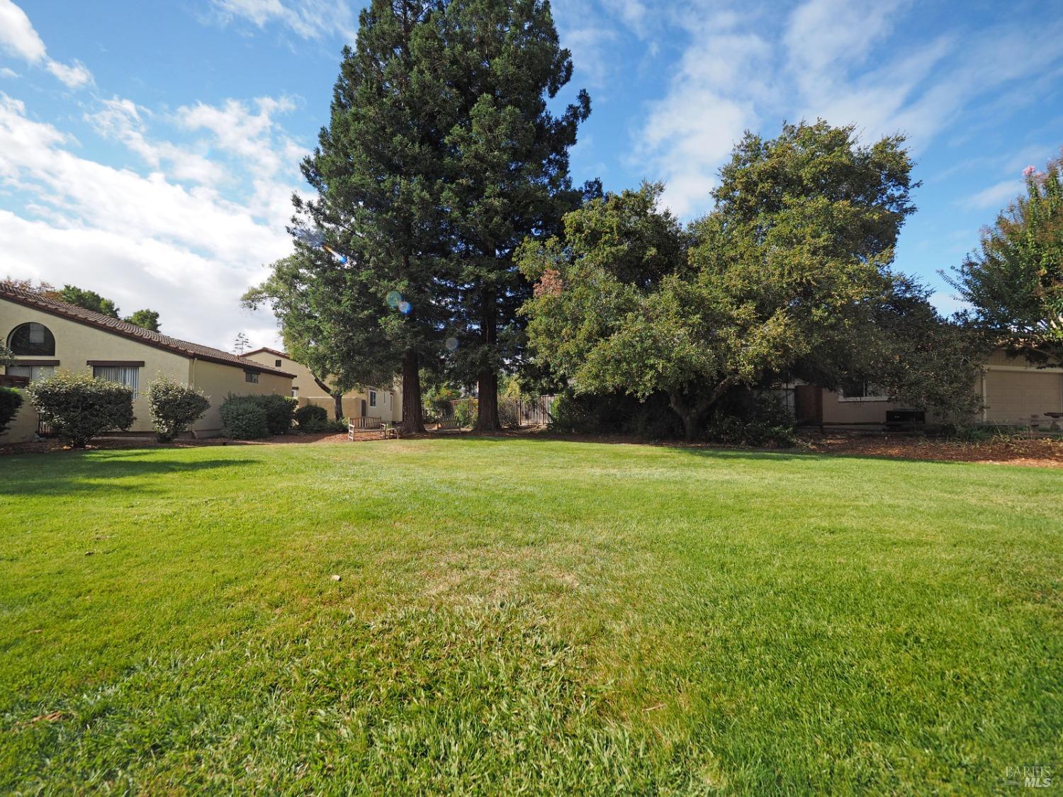 702 Adobe Dr