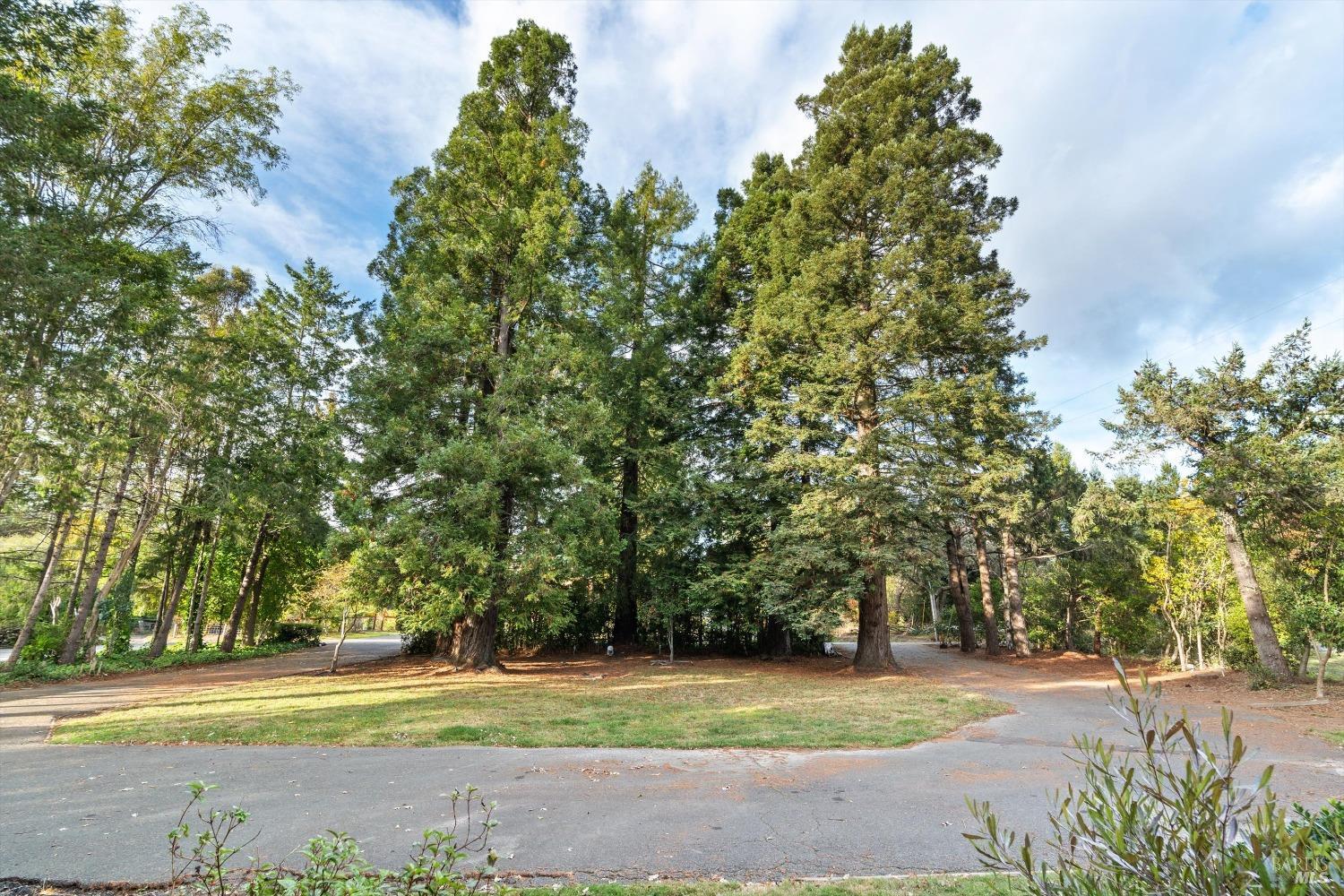 1623 Schaeffer Rd