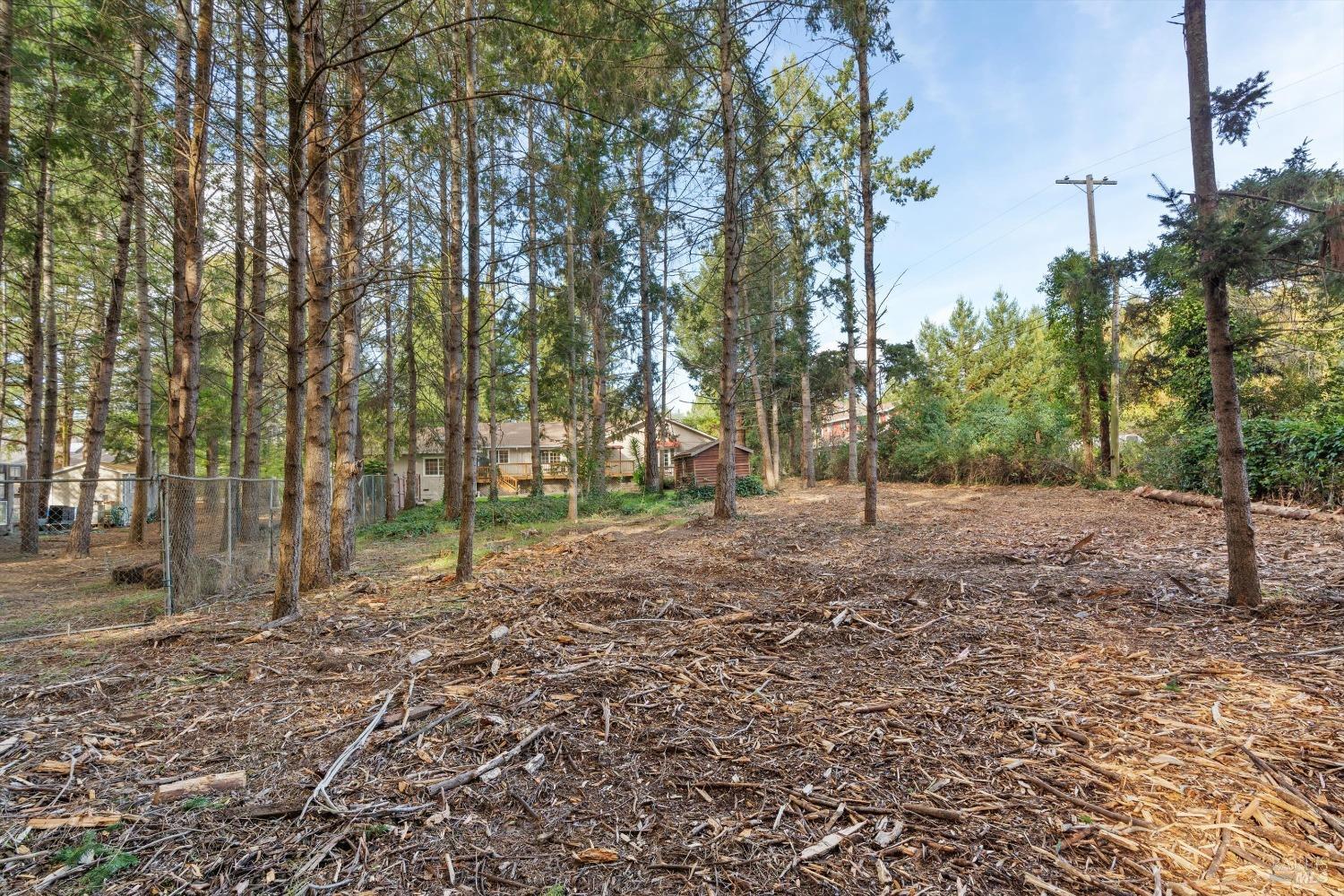 1623 Schaeffer Rd
