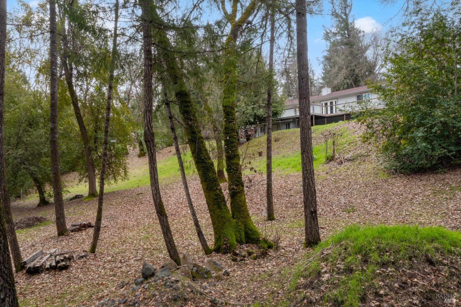 8481 Pinecrest Dr