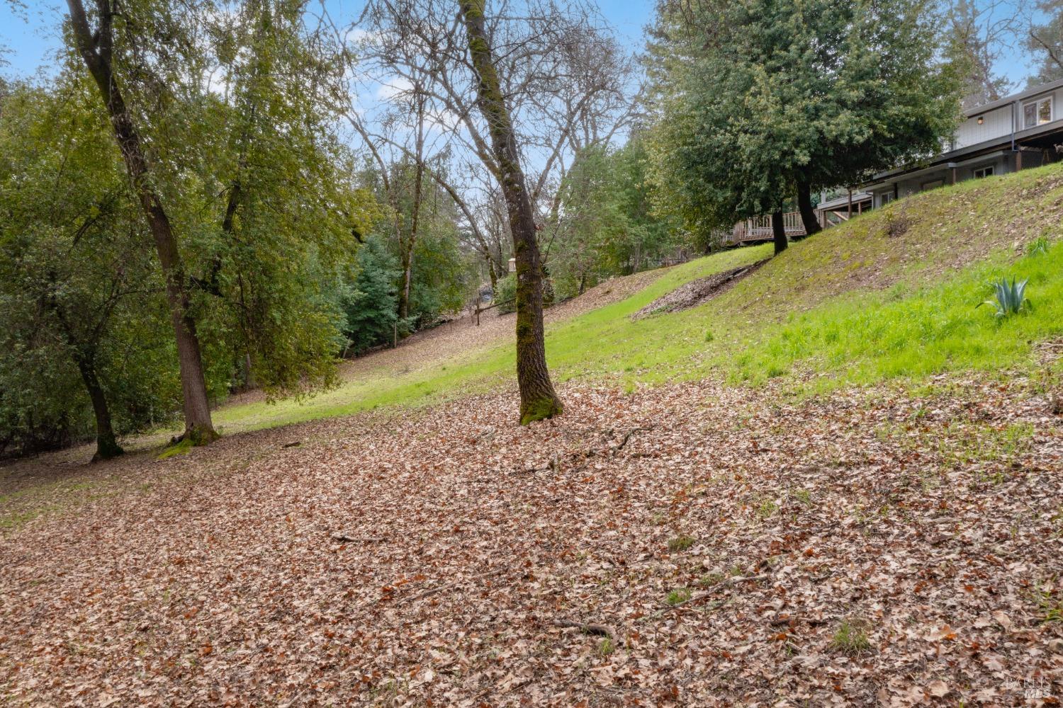 8481 Pinecrest Dr