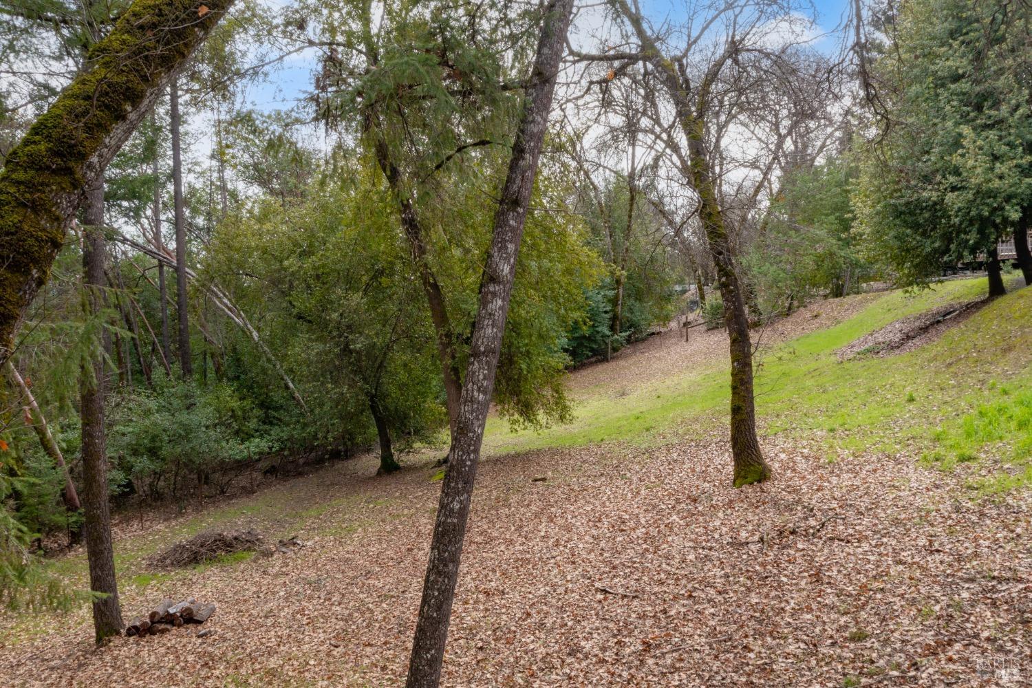 8481 Pinecrest Dr