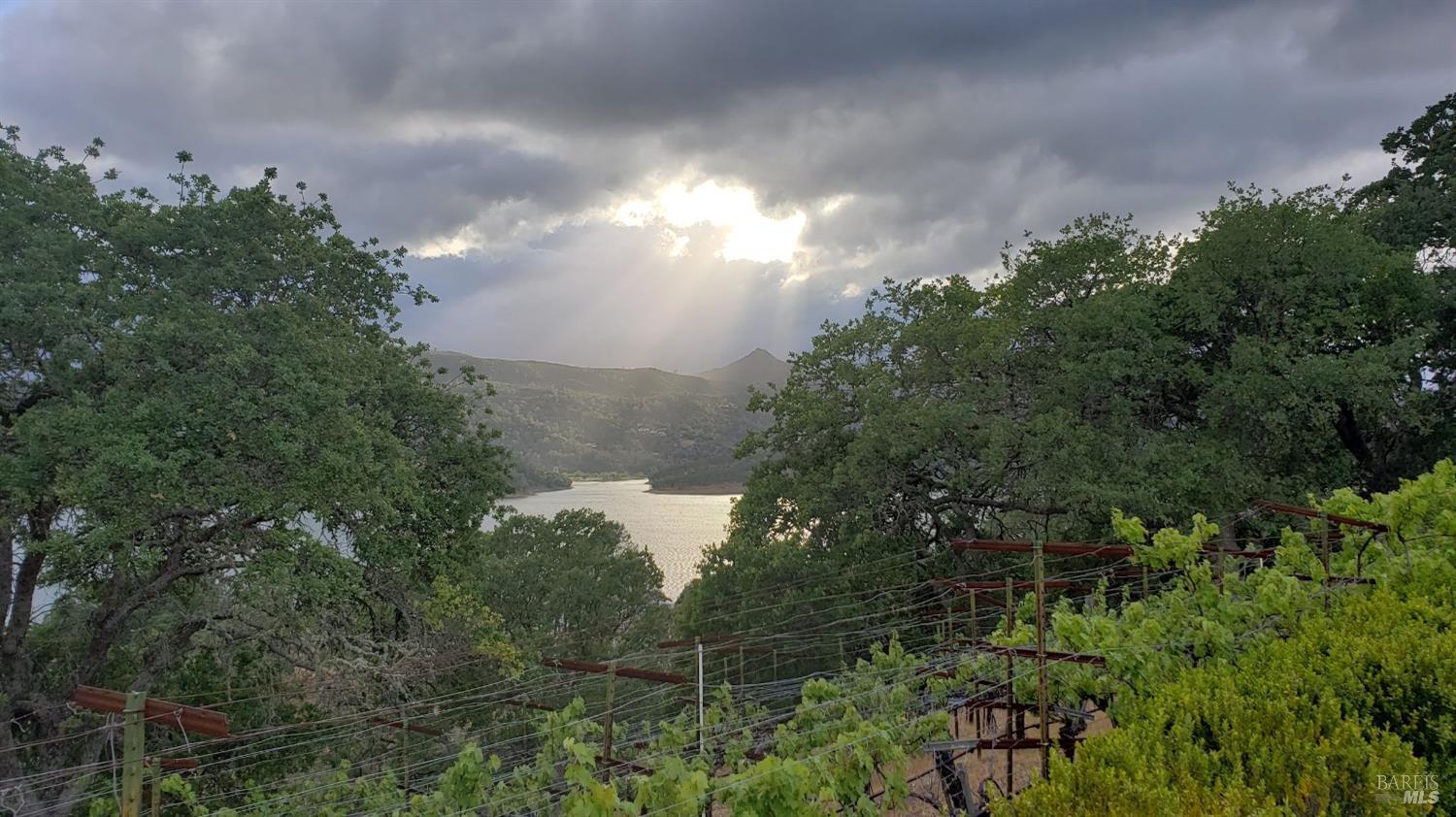 1011 Steele Canyon Rd
