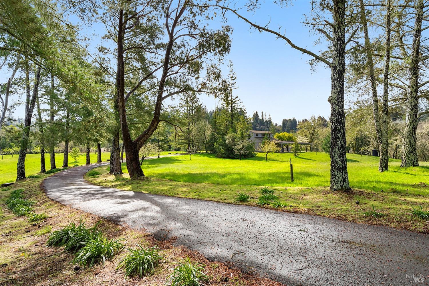 3651 Bones Rd