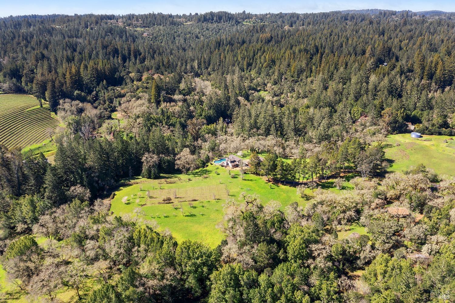 3651 Bones Rd