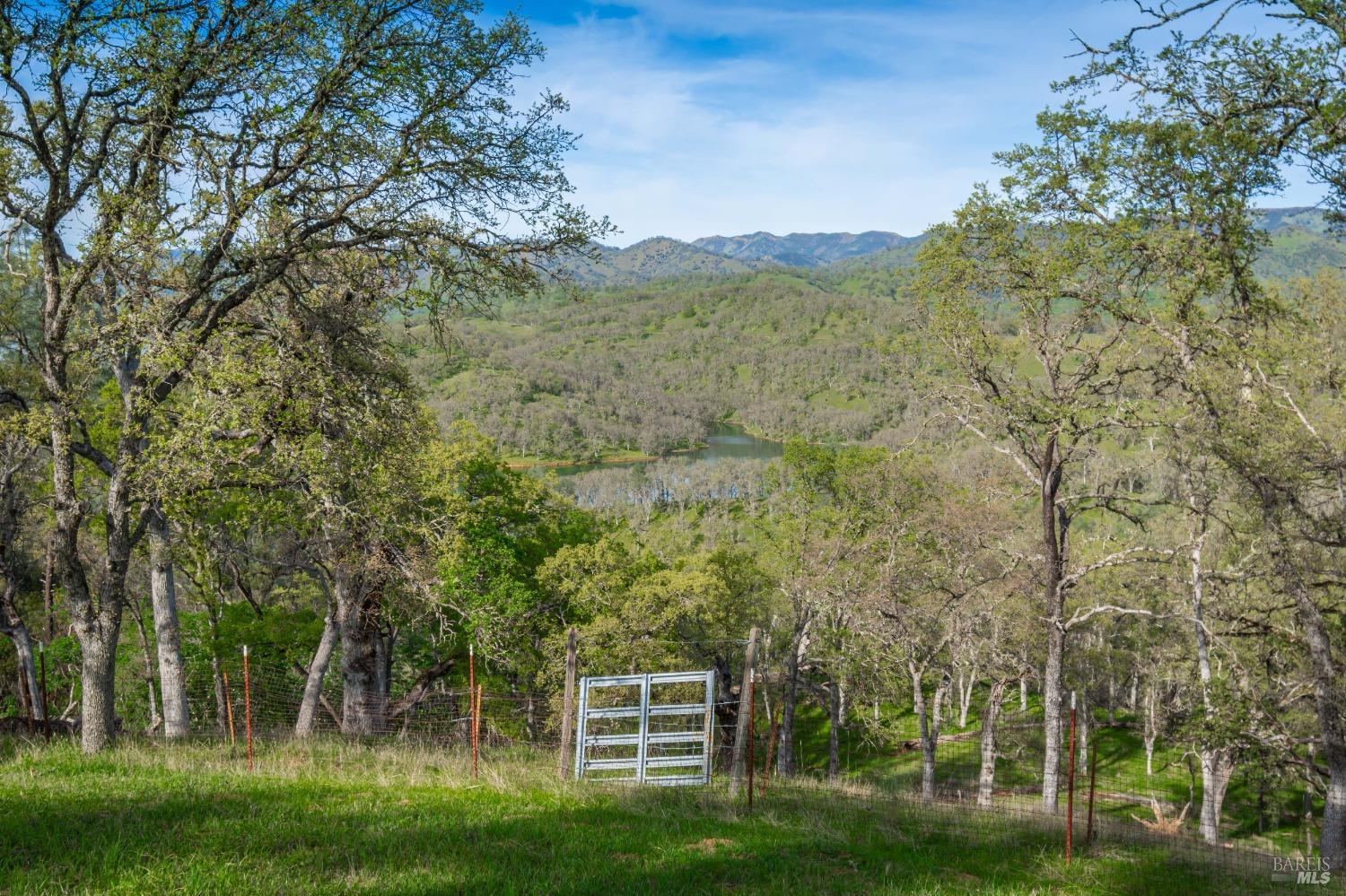 1081 Steele Canyon Rd
