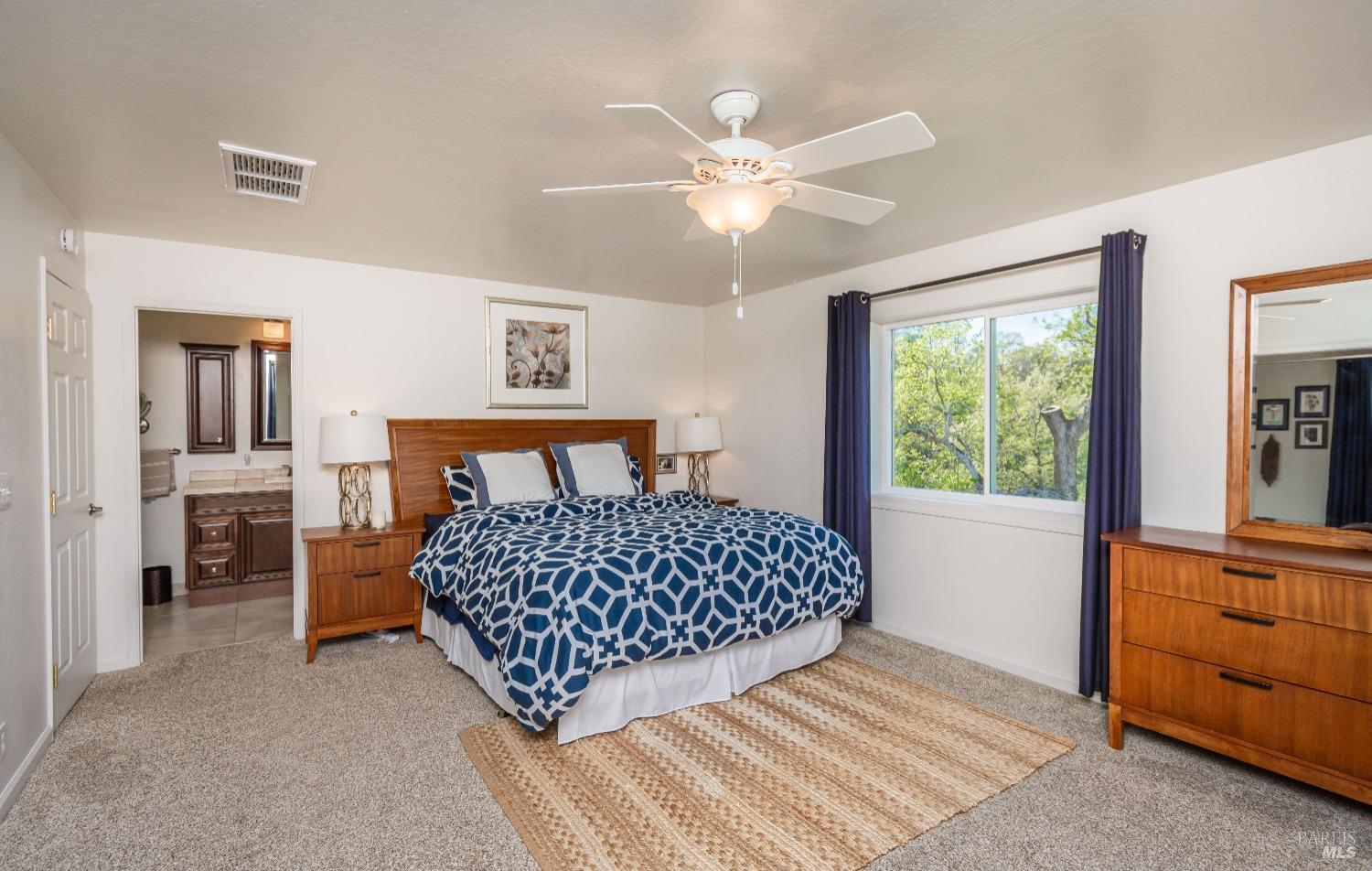 1081 Steele Canyon Rd