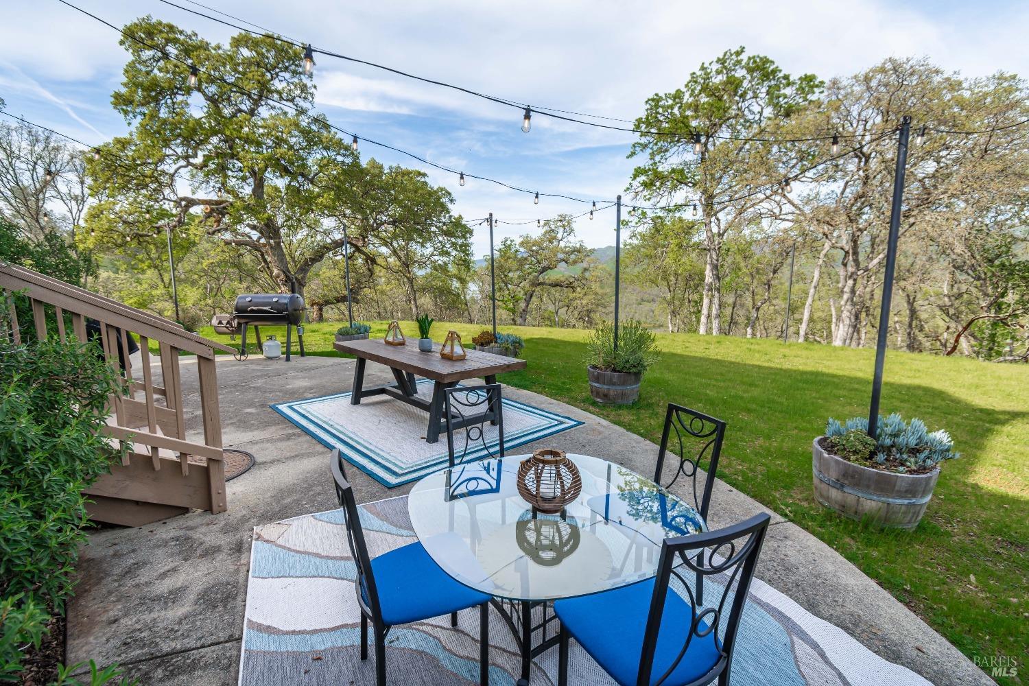 1081 Steele Canyon Rd