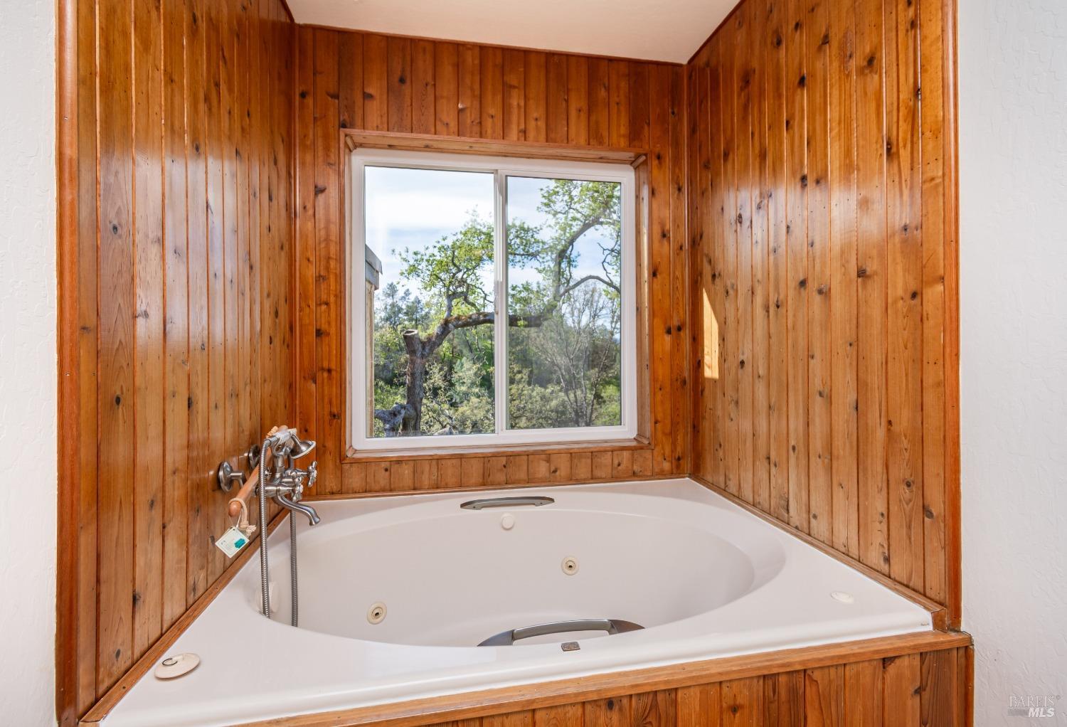 1081 Steele Canyon Rd