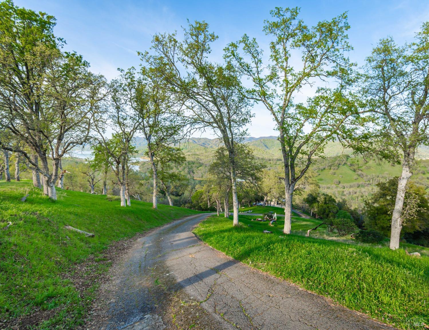 1081 Steele Canyon Rd