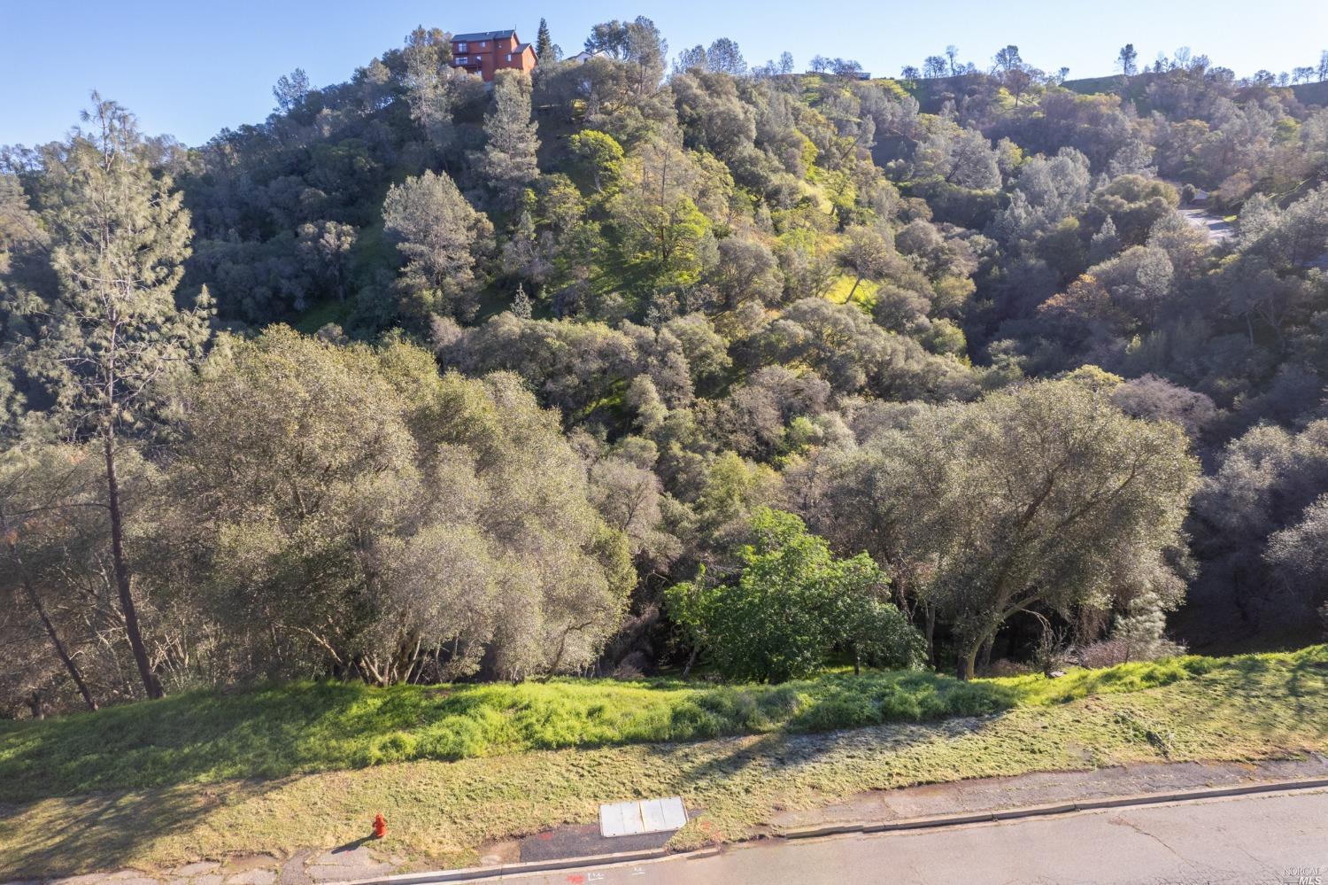 1121 Steele Canyon Rd