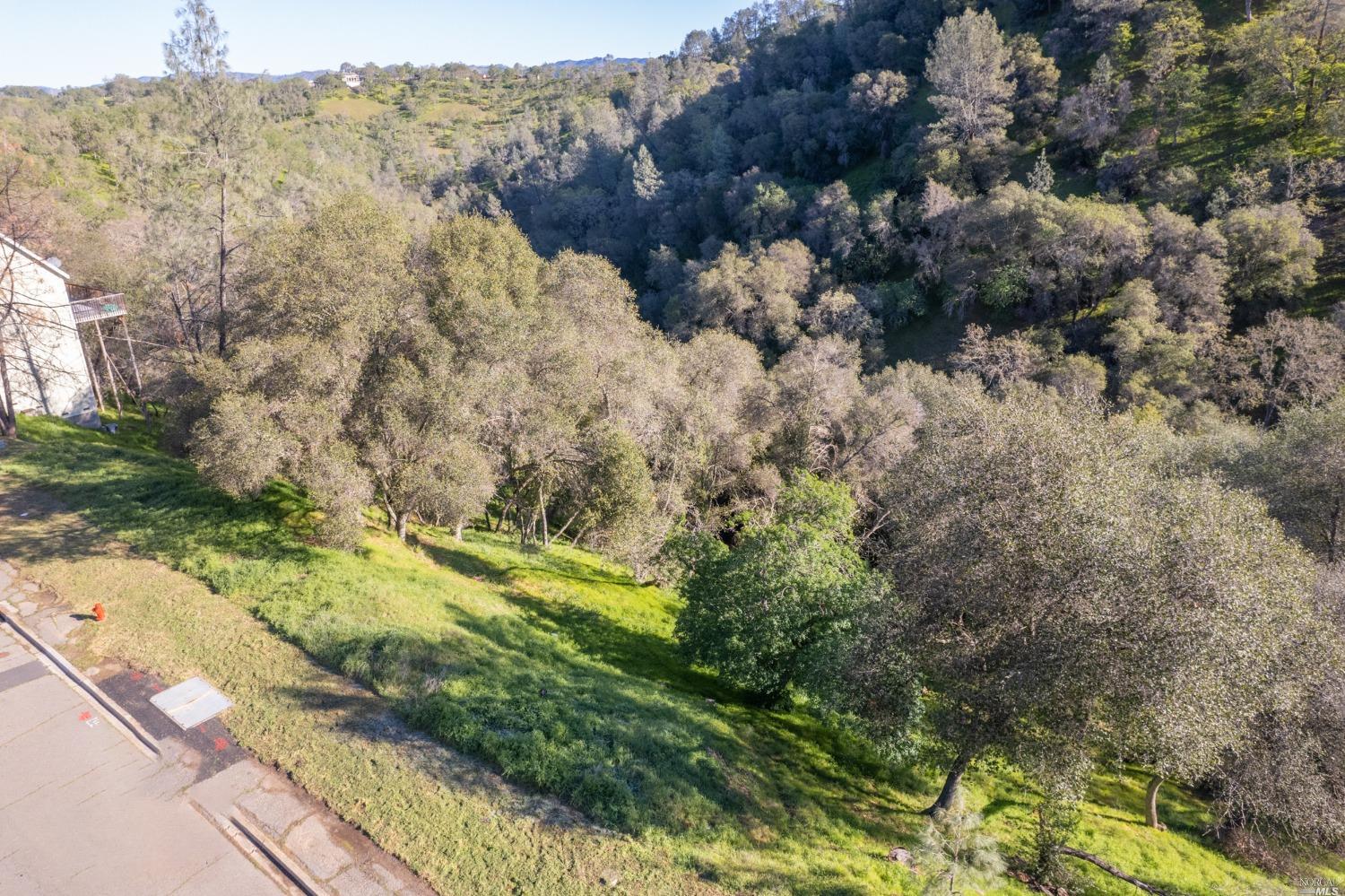 1121 Steele Canyon Rd