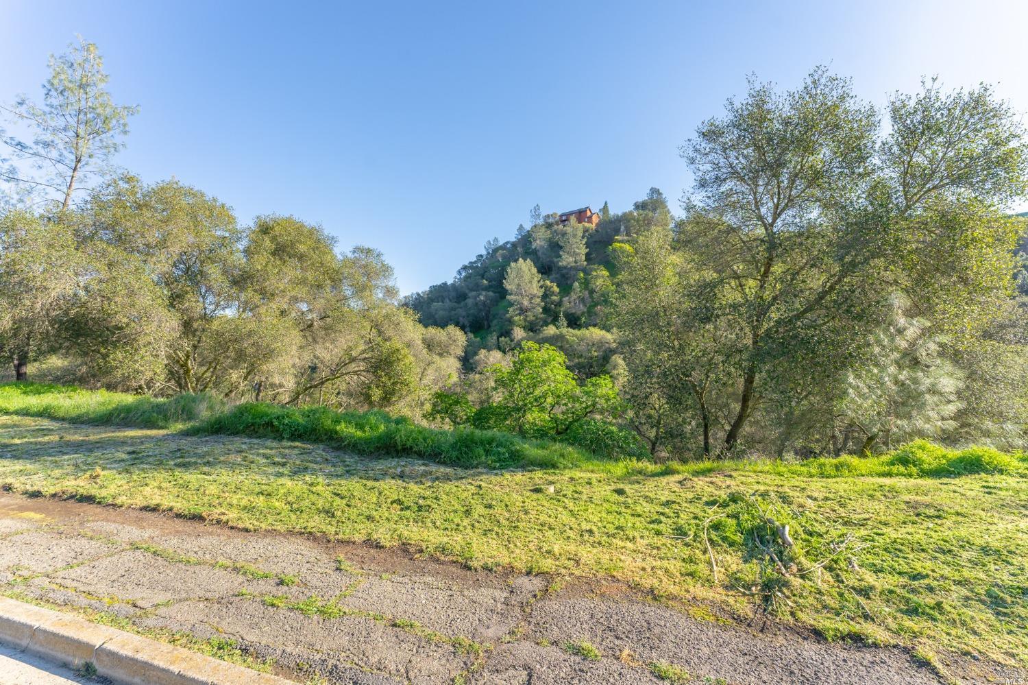 1121 Steele Canyon Rd