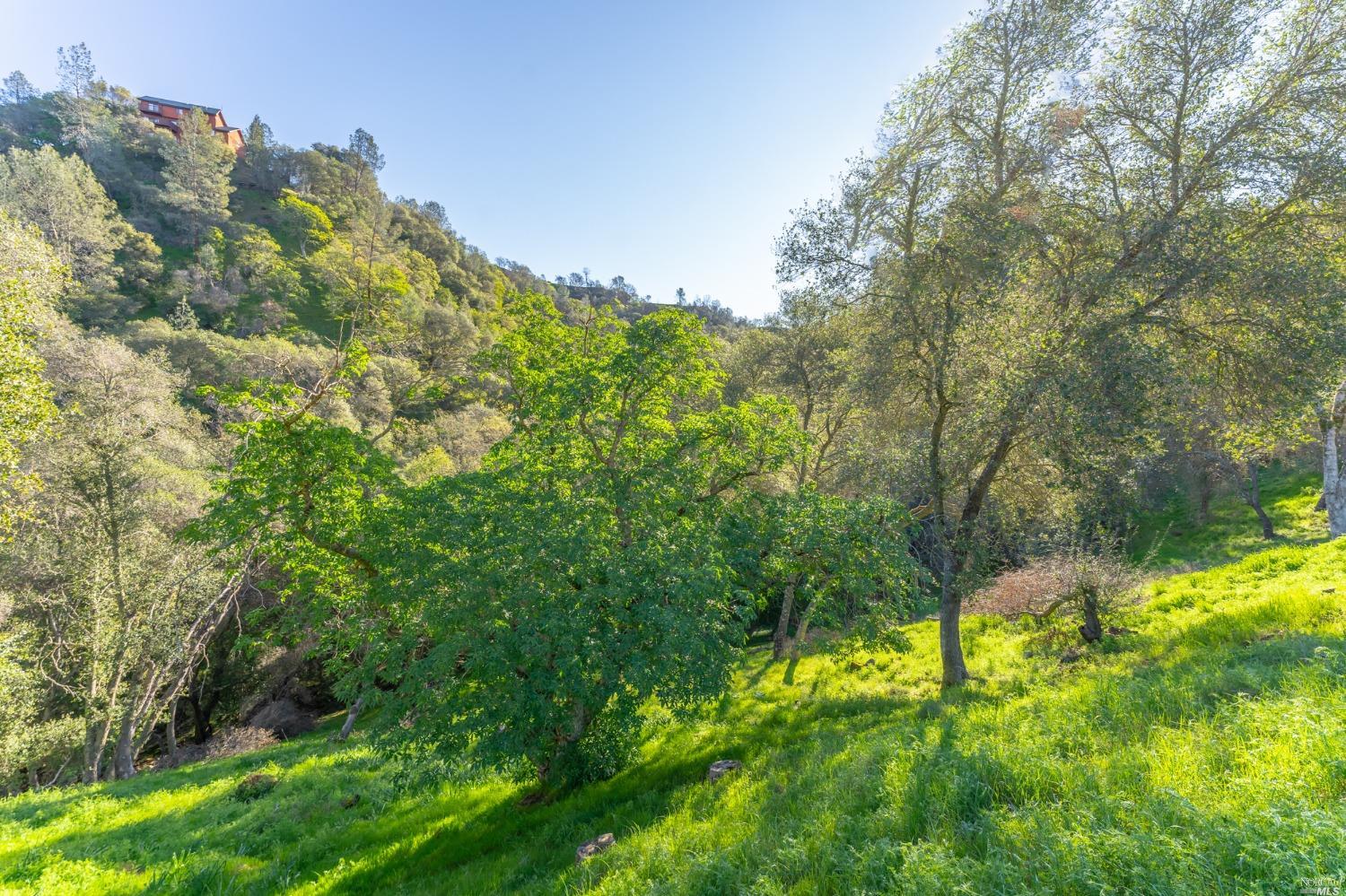 1121 Steele Canyon Rd