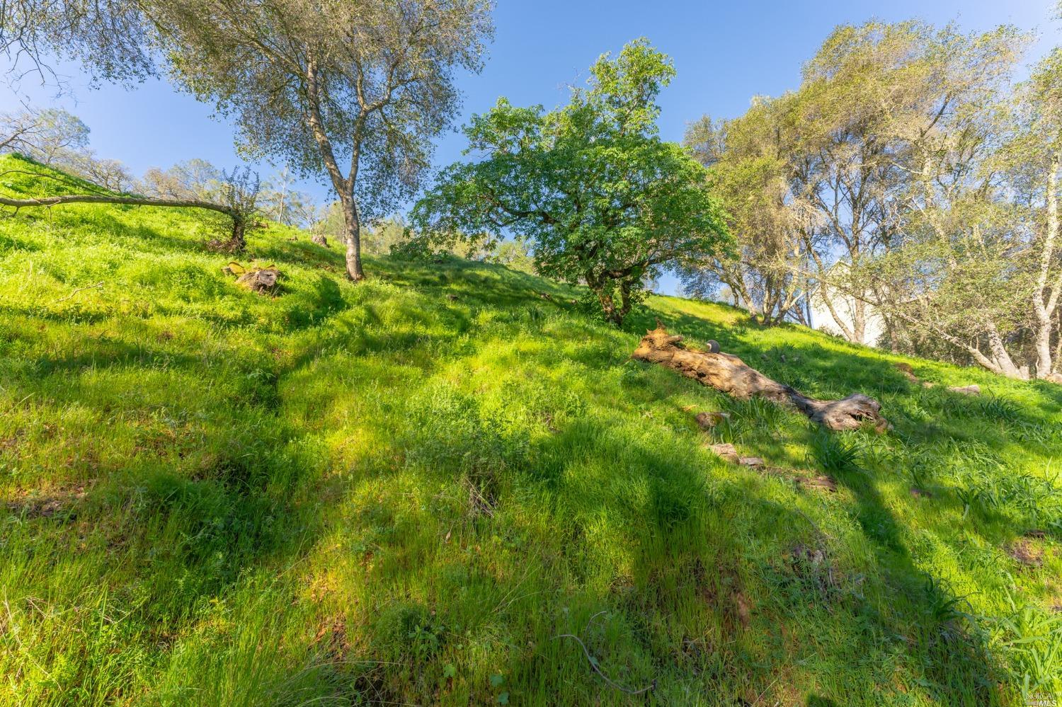 1121 Steele Canyon Rd