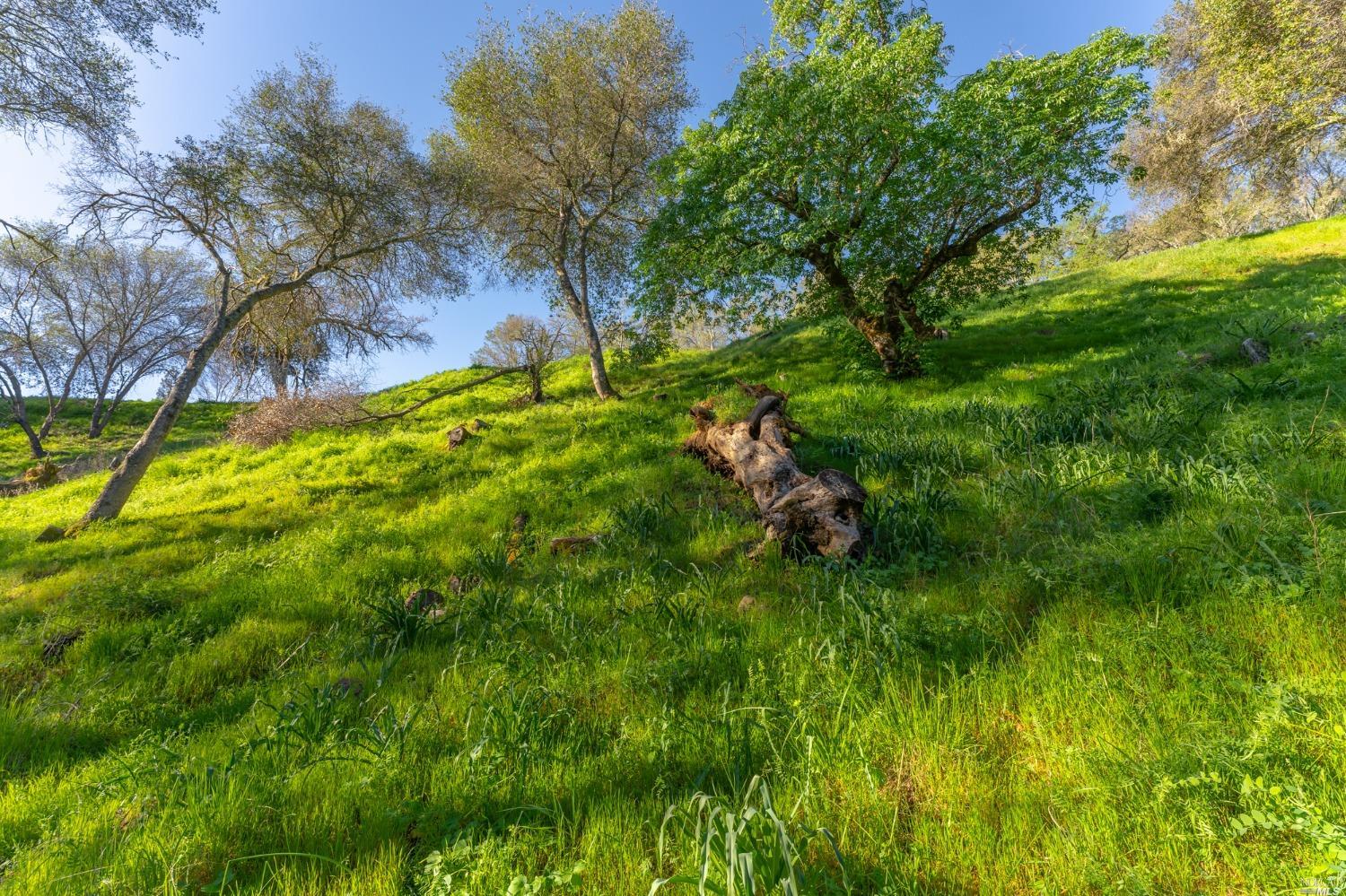 1121 Steele Canyon Rd