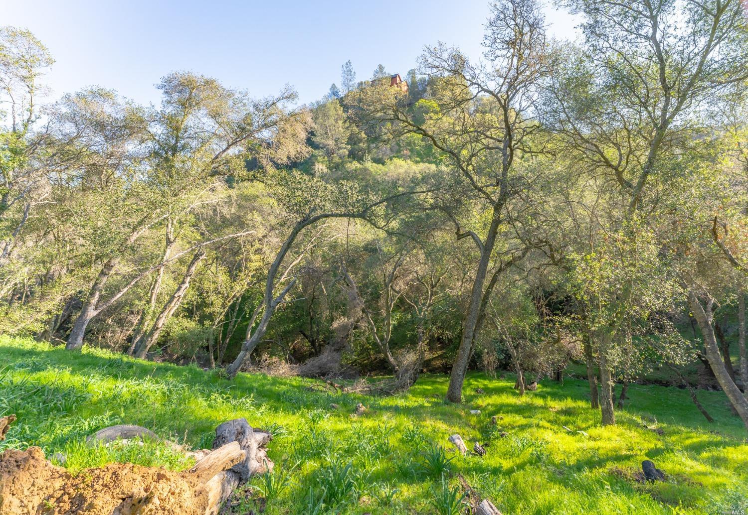 1121 Steele Canyon Rd